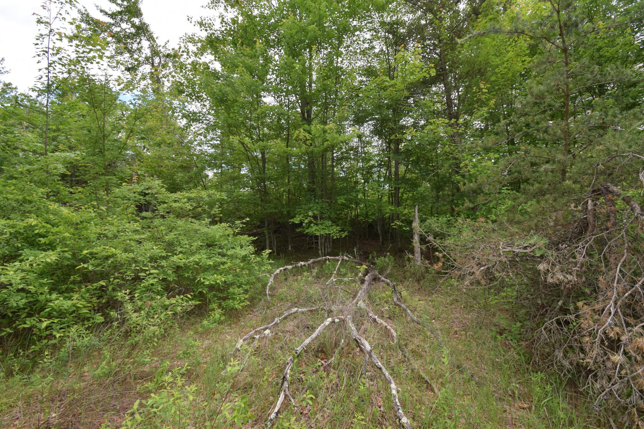 25385 Spaulding Road Property Photo 8
