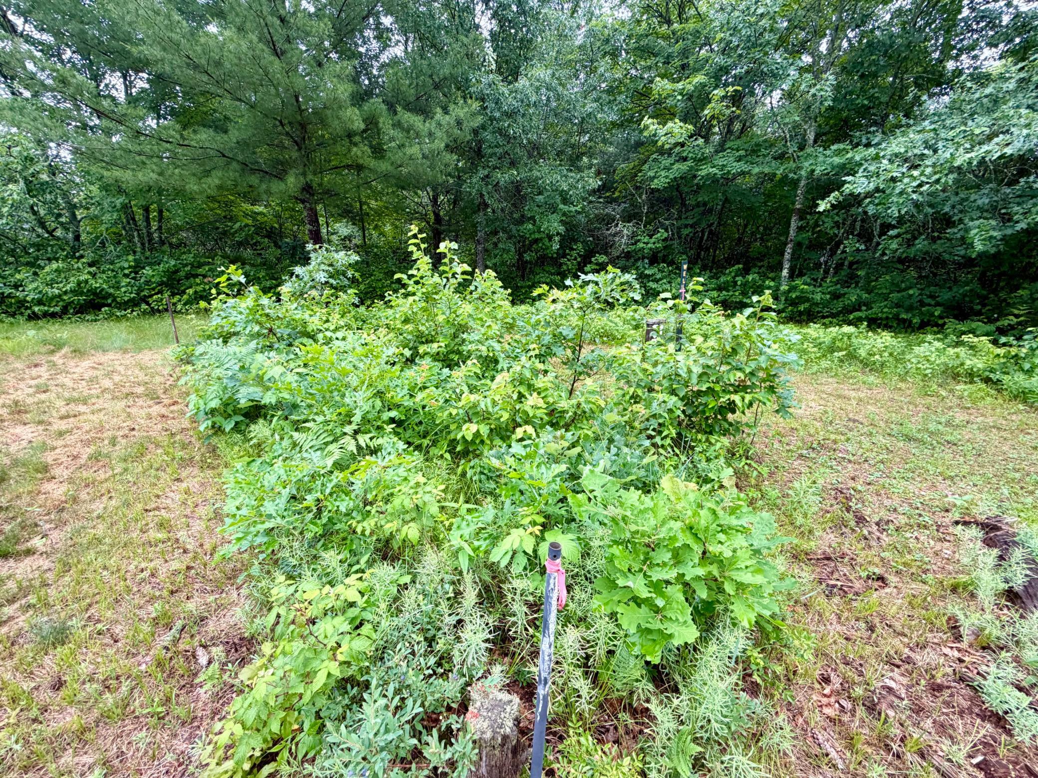 7113 E Fire Hill Road Property Photo 6
