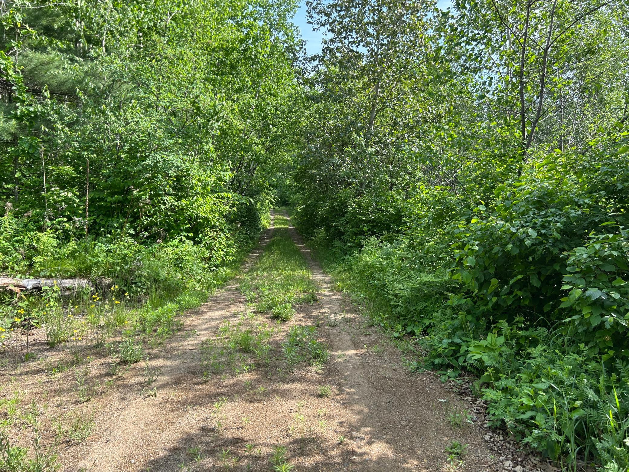13894 Grouse Trail Property Photo 21