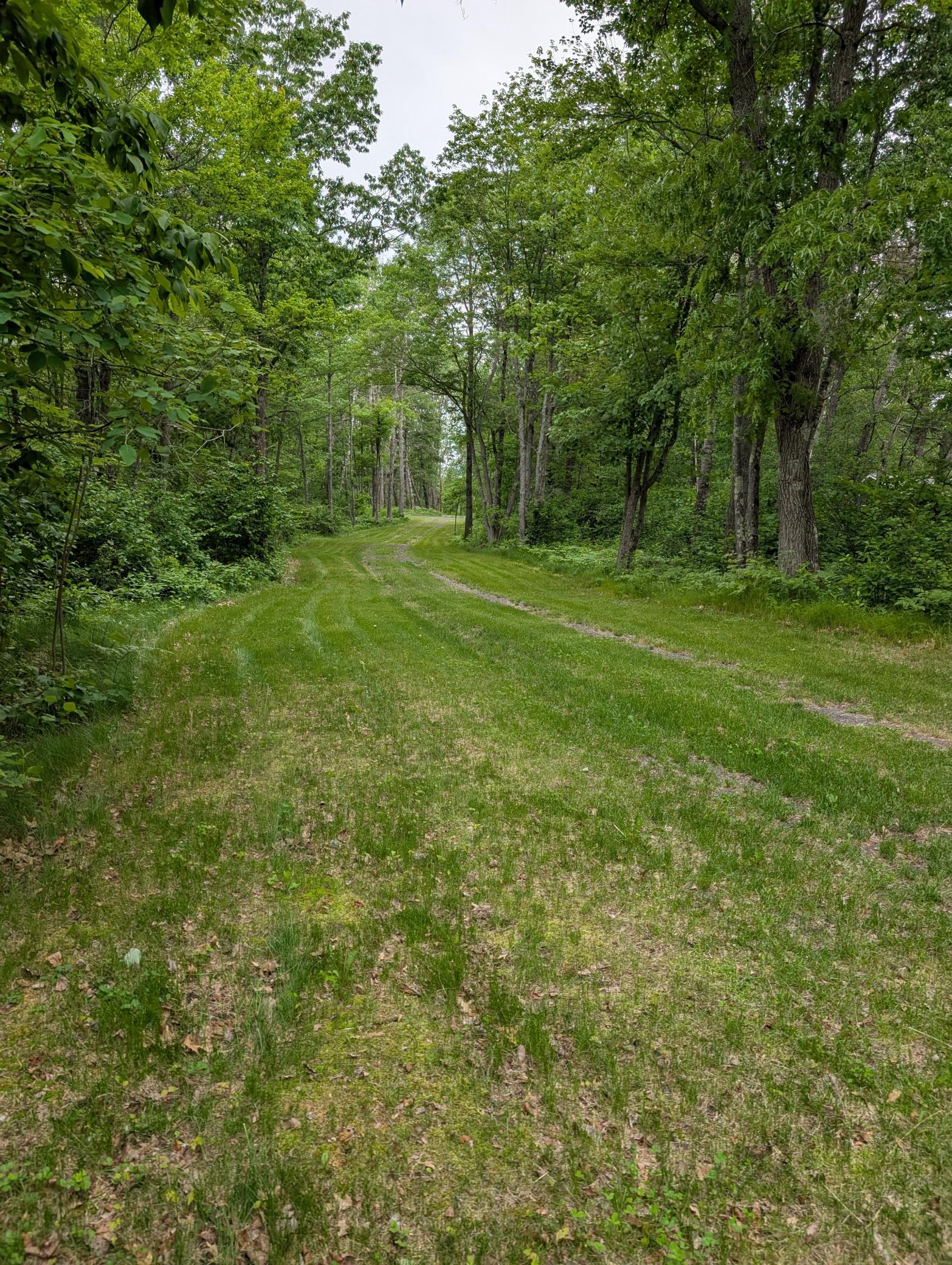 64100 E Ruth Lake Road Property Photo 4