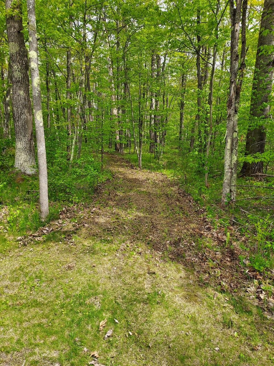 64100 E Ruth Lake Road Property Photo 10