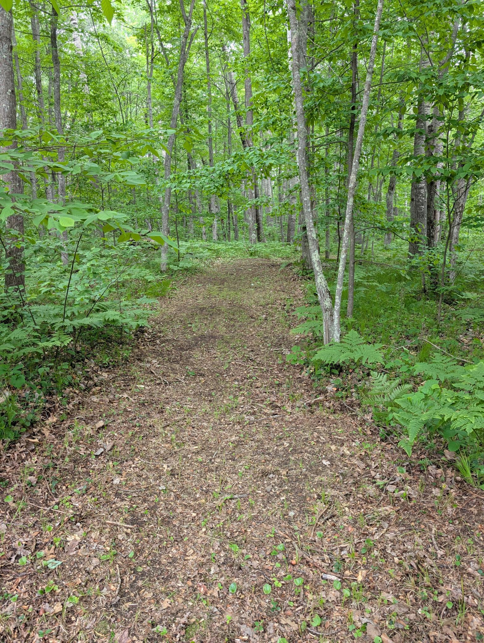 64100 E Ruth Lake Road Property Photo 11