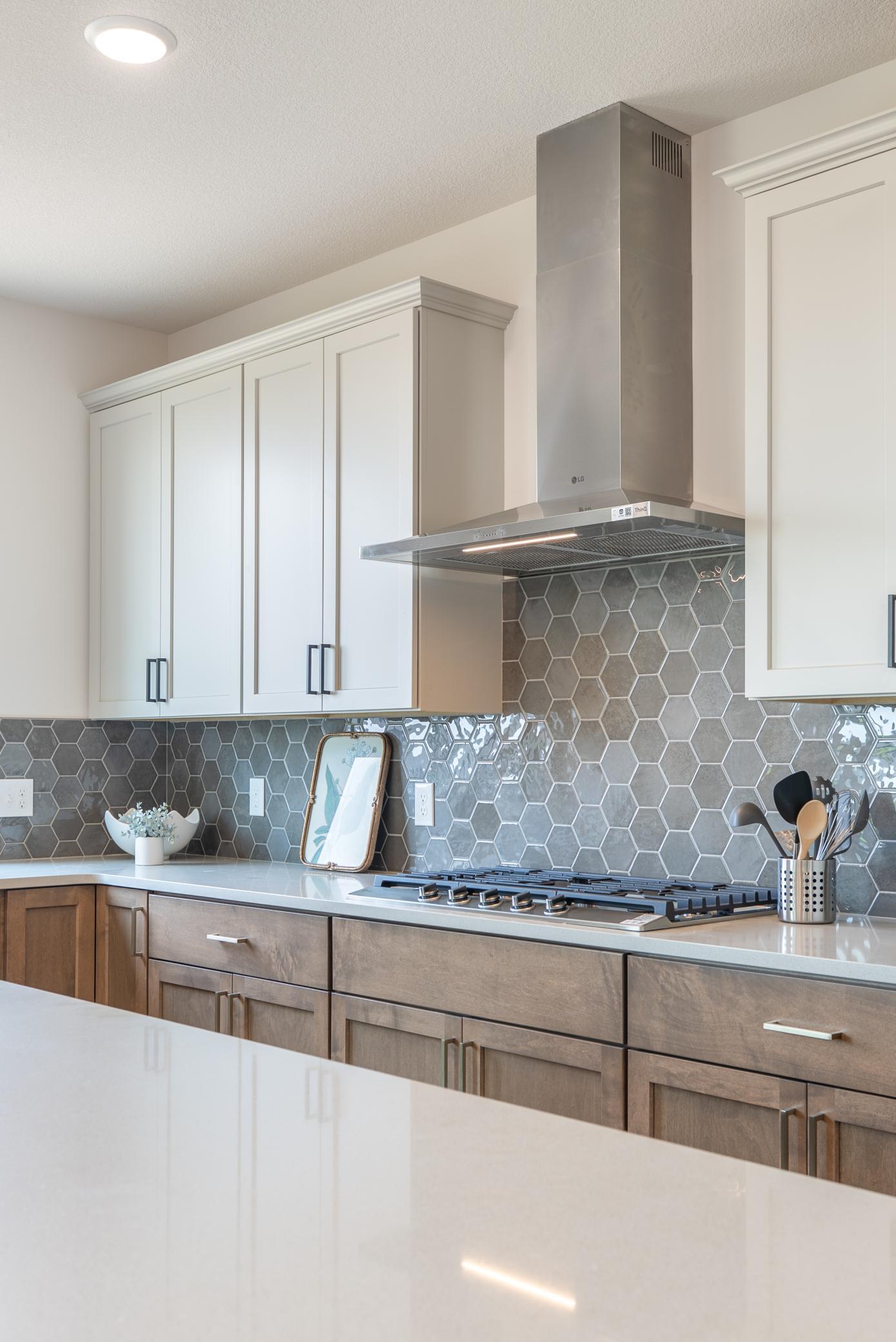 5036 Airlake Draw Property Photo 14