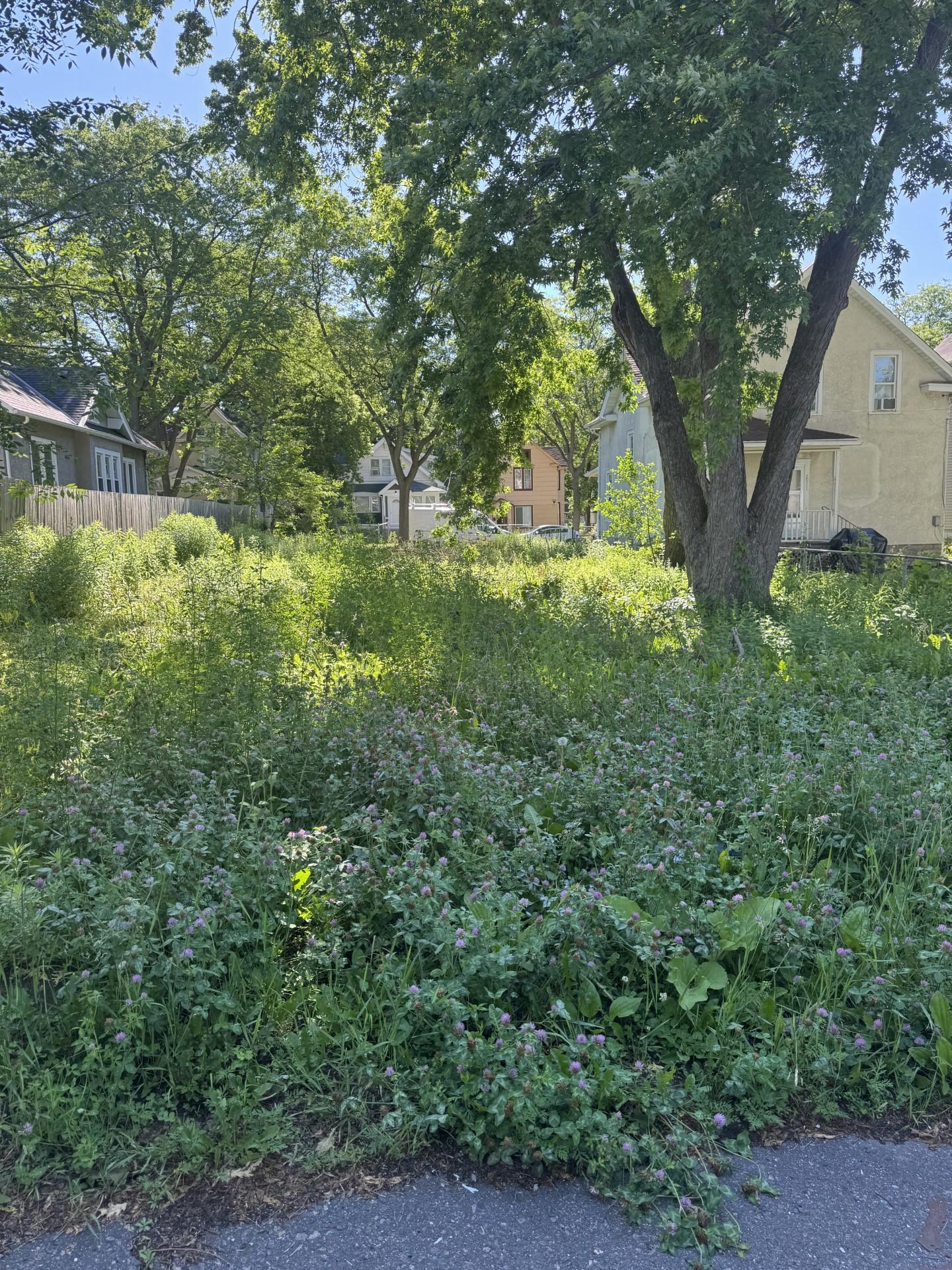 2915 Colfax Avenue N Property Photo 1