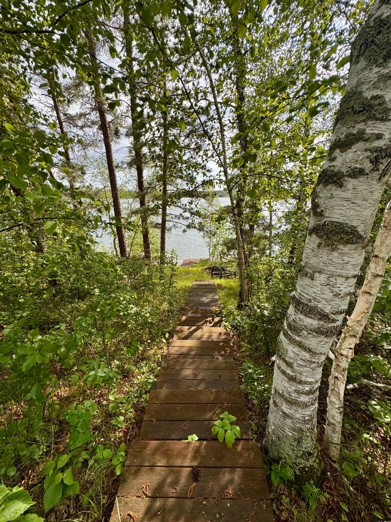 17619 Ivy Drive Property Photo 8