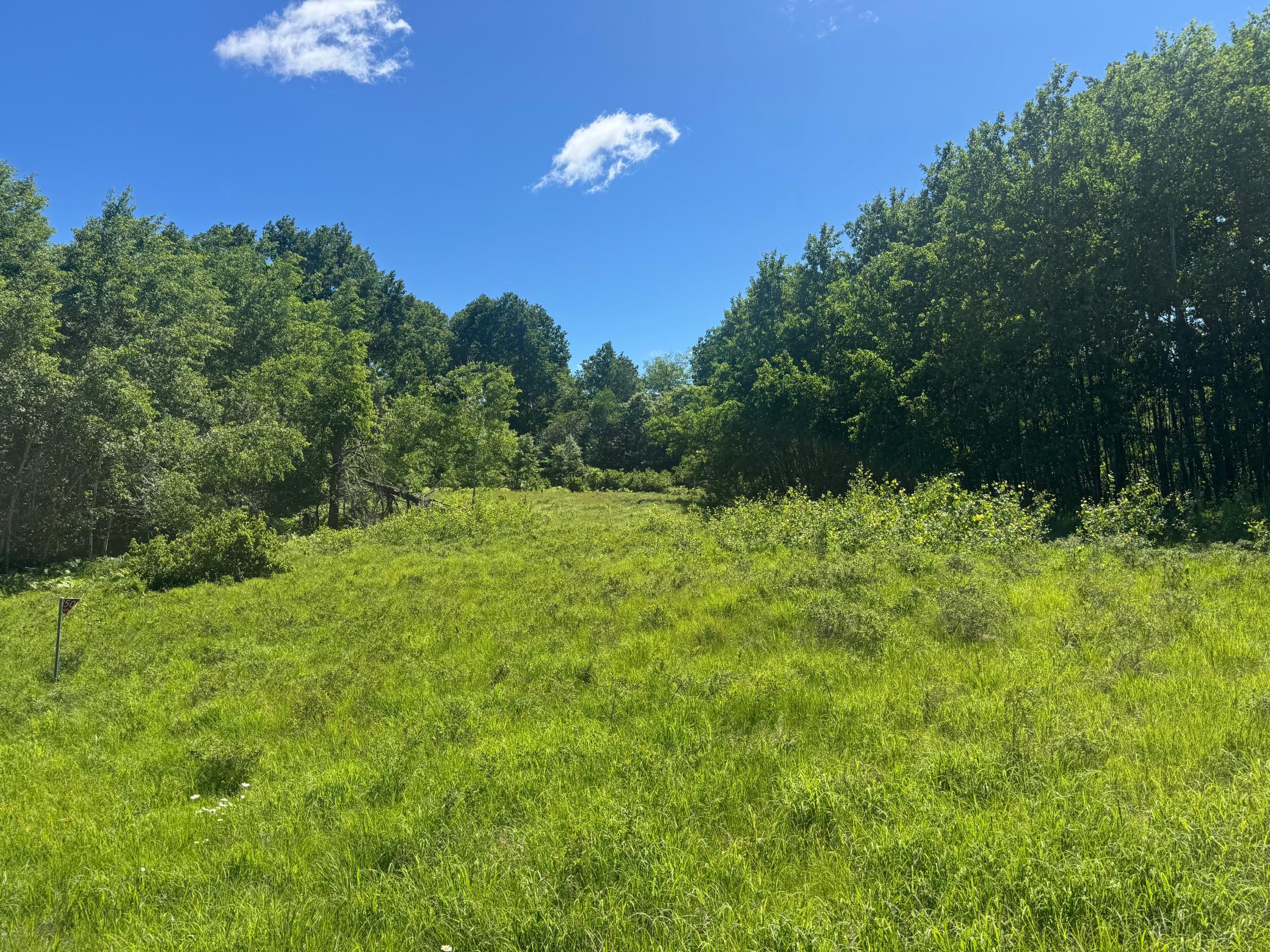 15043 S Thorn Lake Loop Property Photo 2