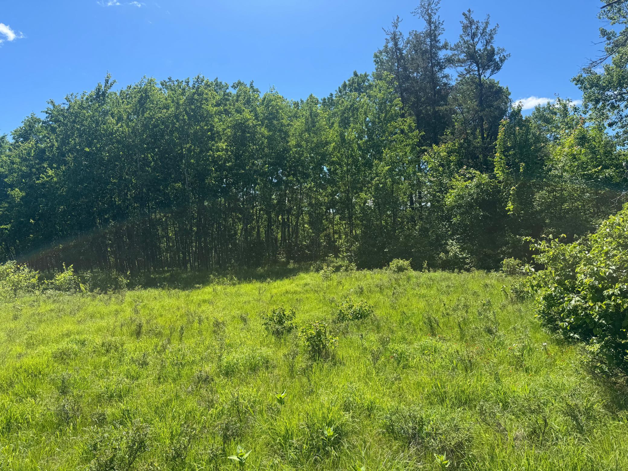 15043 S Thorn Lake Loop Property Photo 6