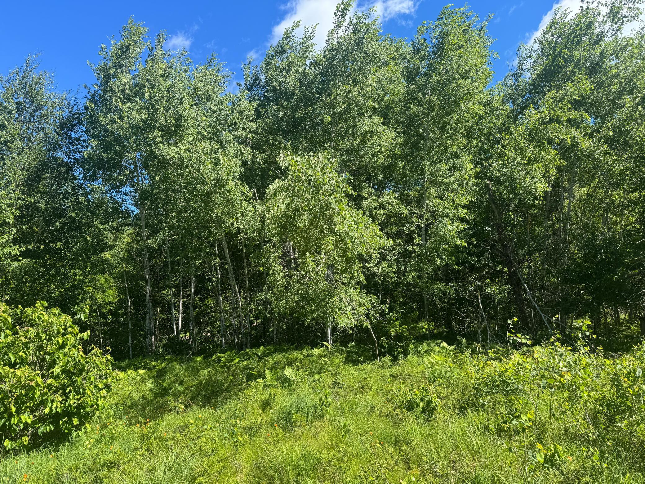 15043 S Thorn Lake Loop Property Photo 7