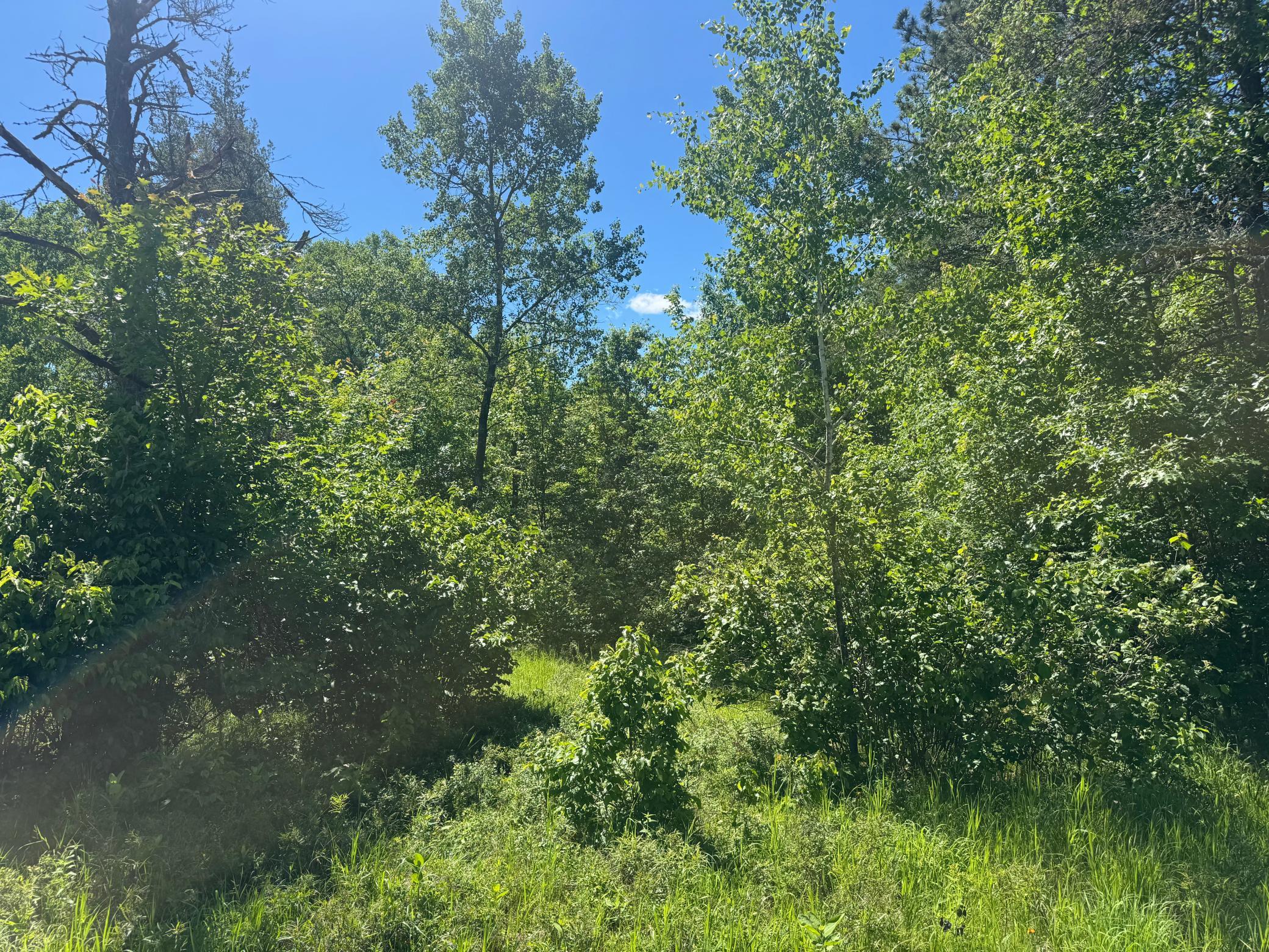 15043 S Thorn Lake Loop Property Photo 8