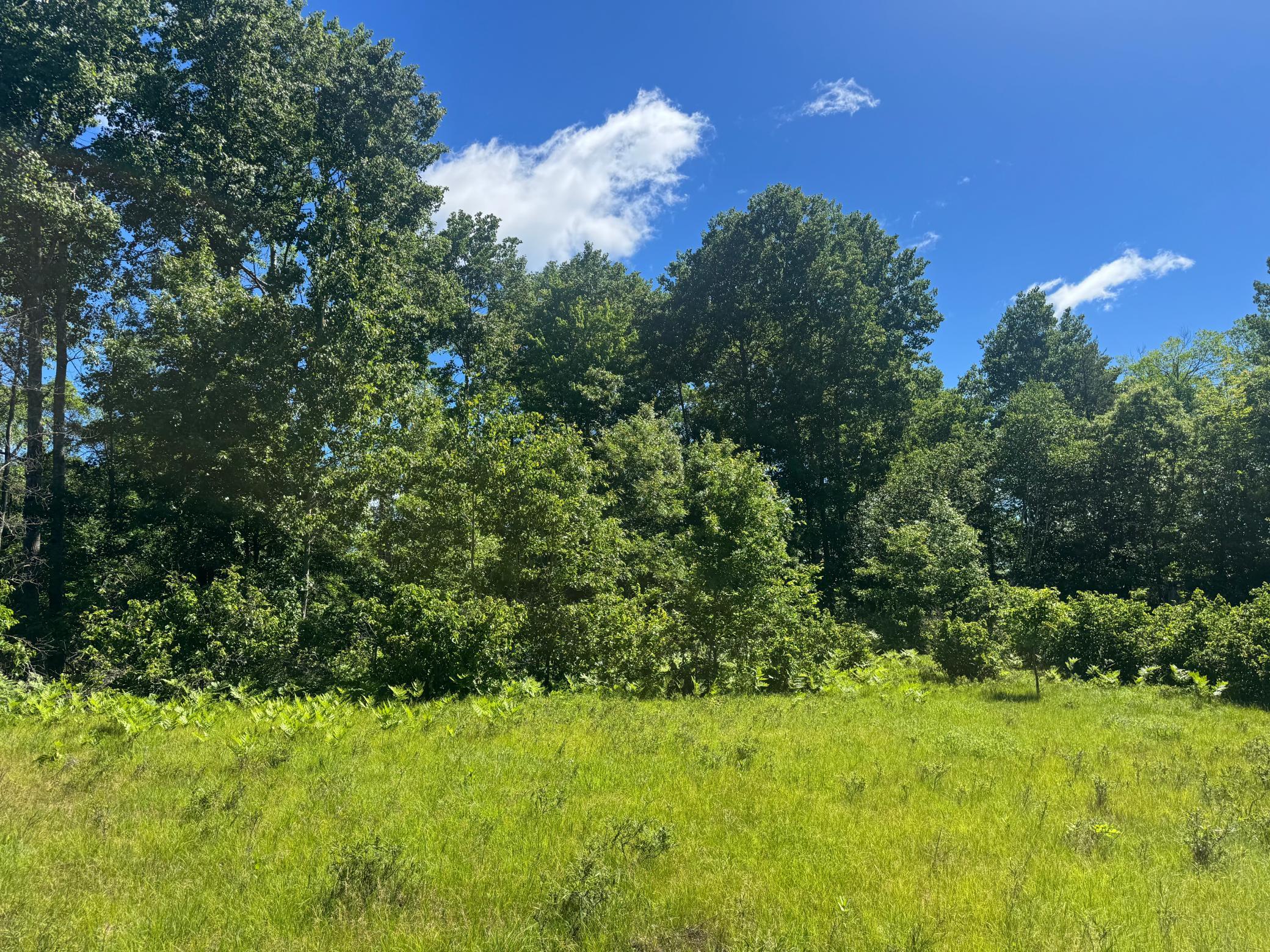 15043 S Thorn Lake Loop Property Photo 10