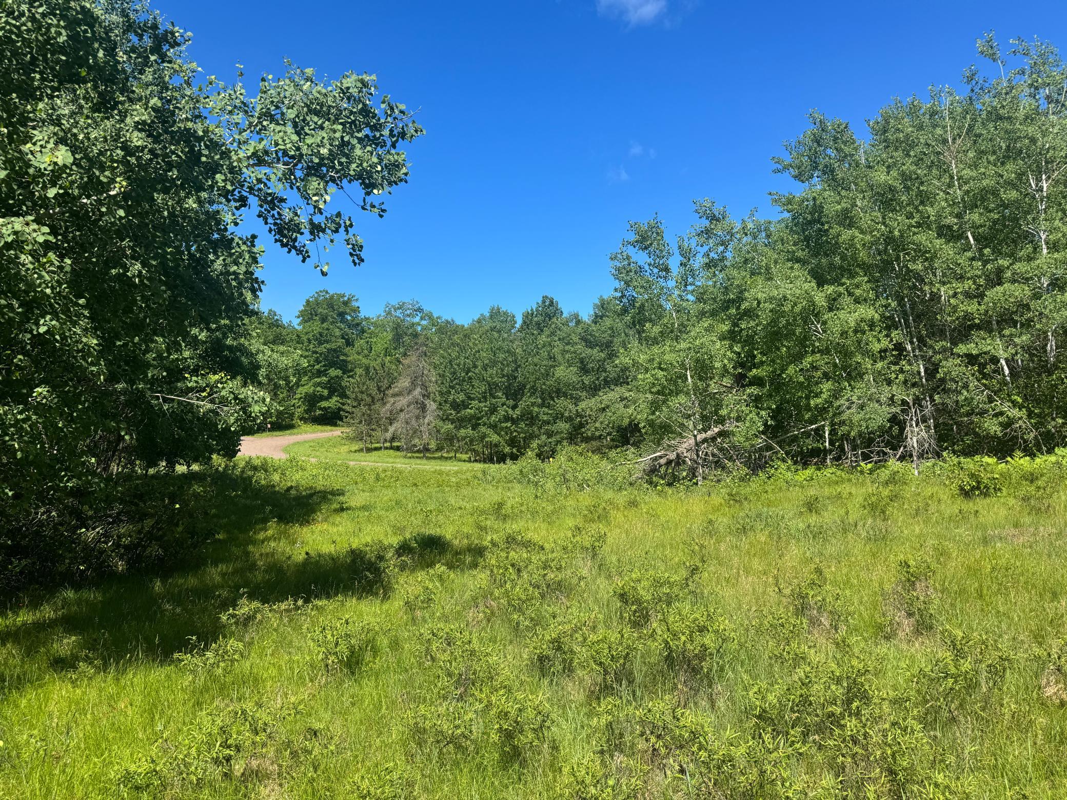 15043 S Thorn Lake Loop Property Photo 11