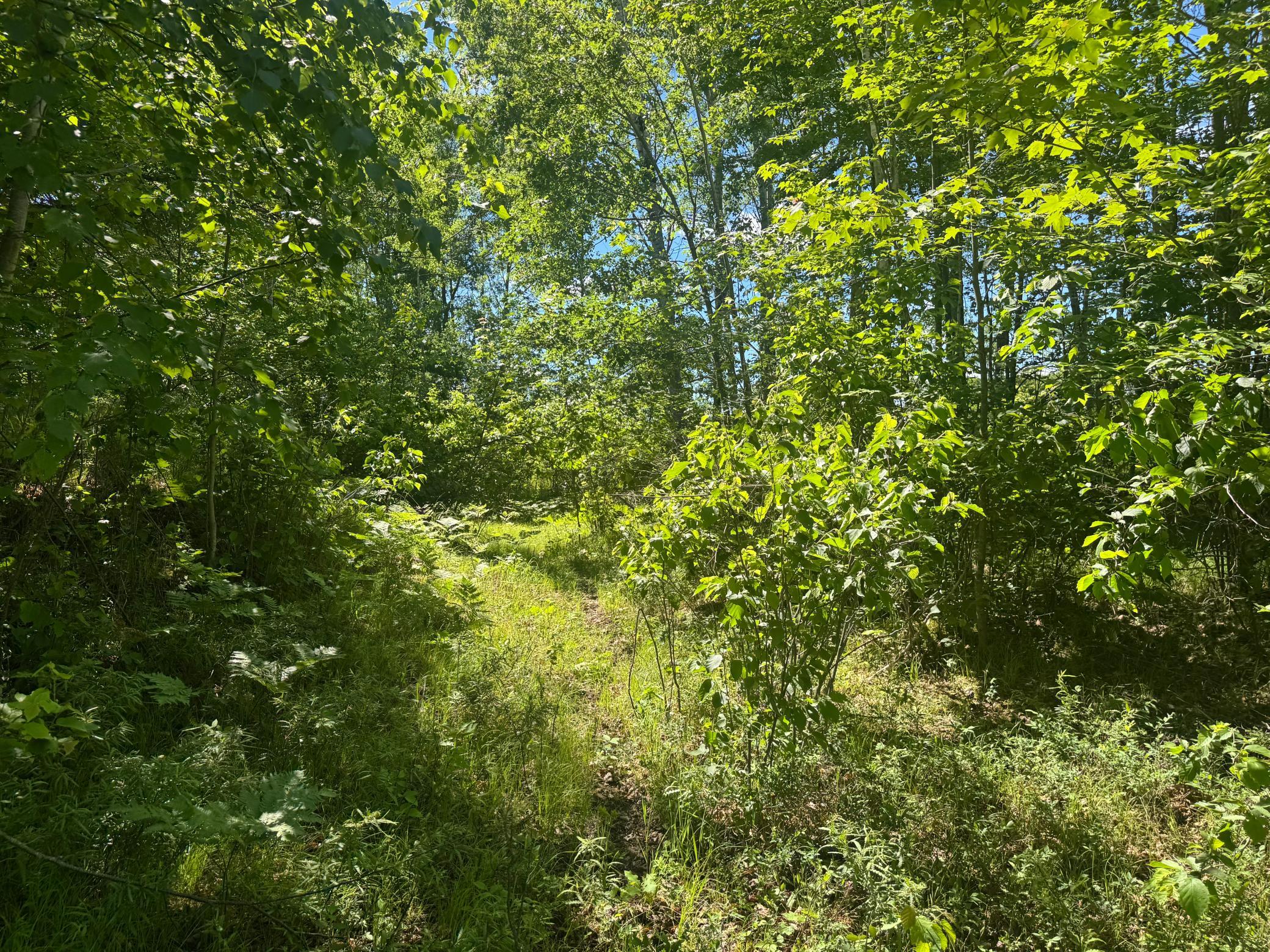 15043 S Thorn Lake Loop Property Photo 12