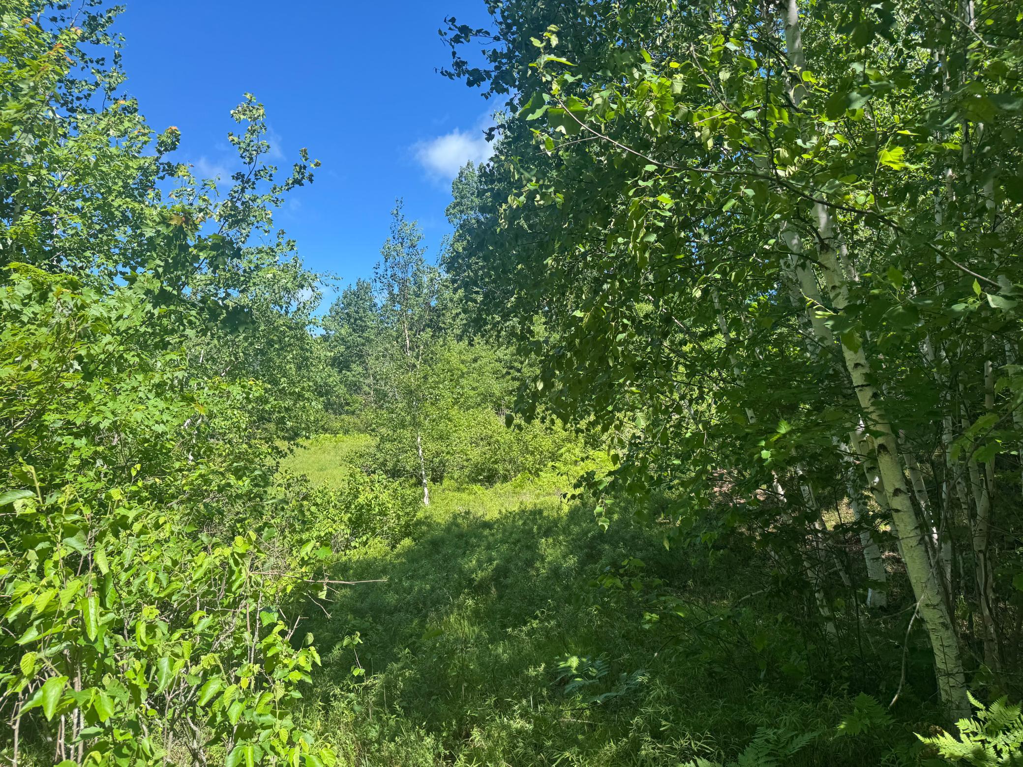 15043 S Thorn Lake Loop Property Photo 13