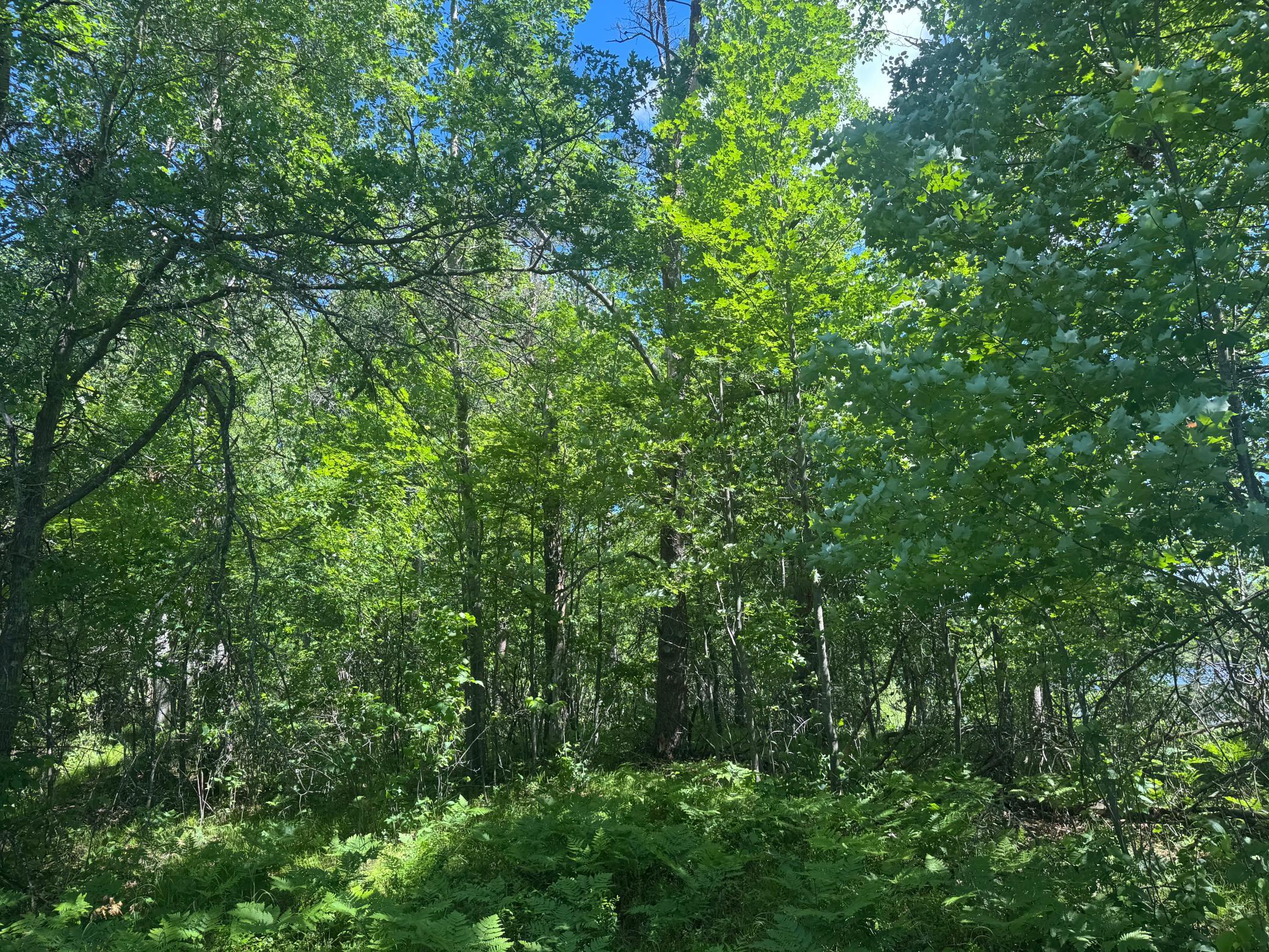 15043 S Thorn Lake Loop Property Photo 14