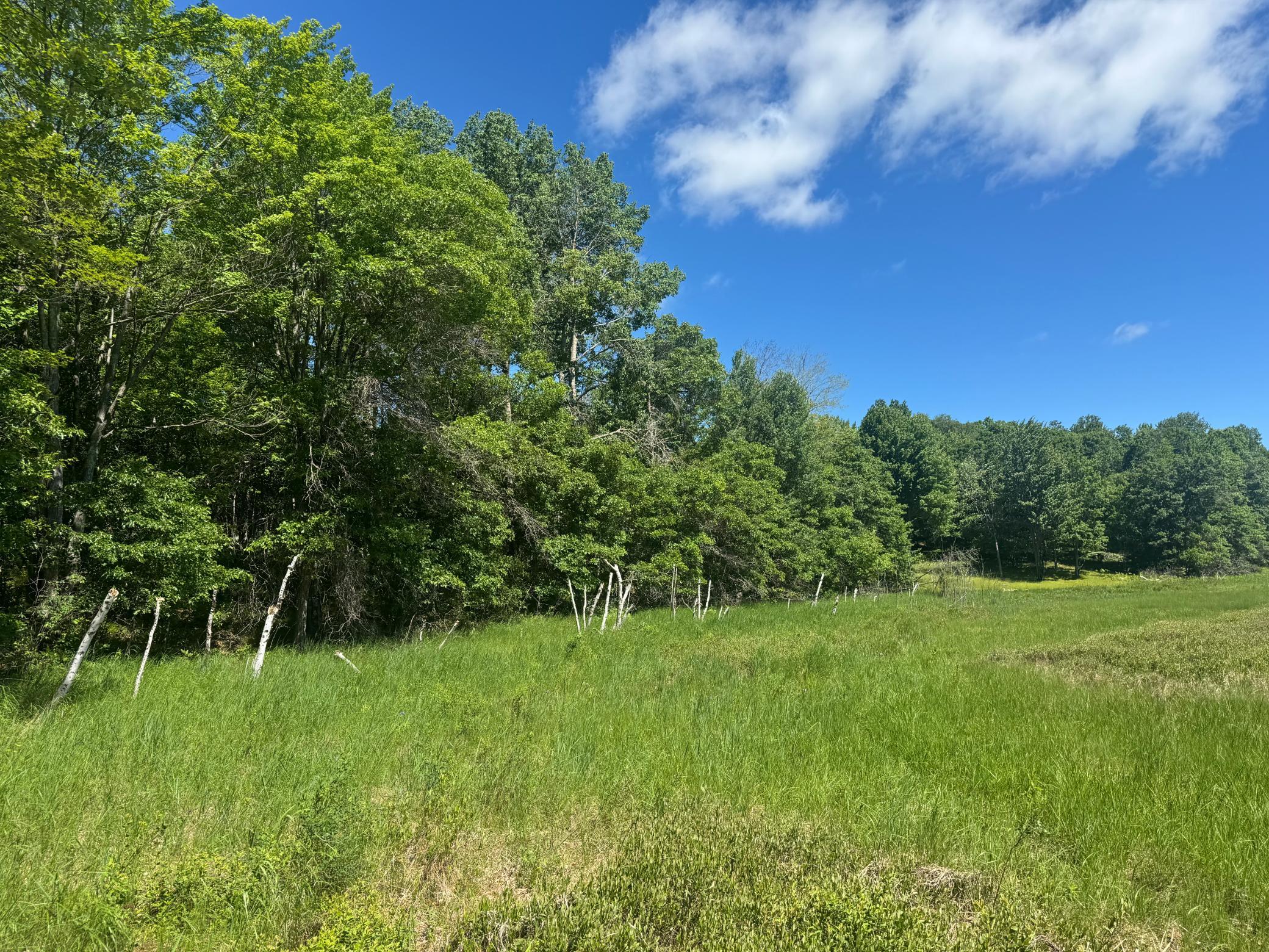 15043 S Thorn Lake Loop Property Photo 20