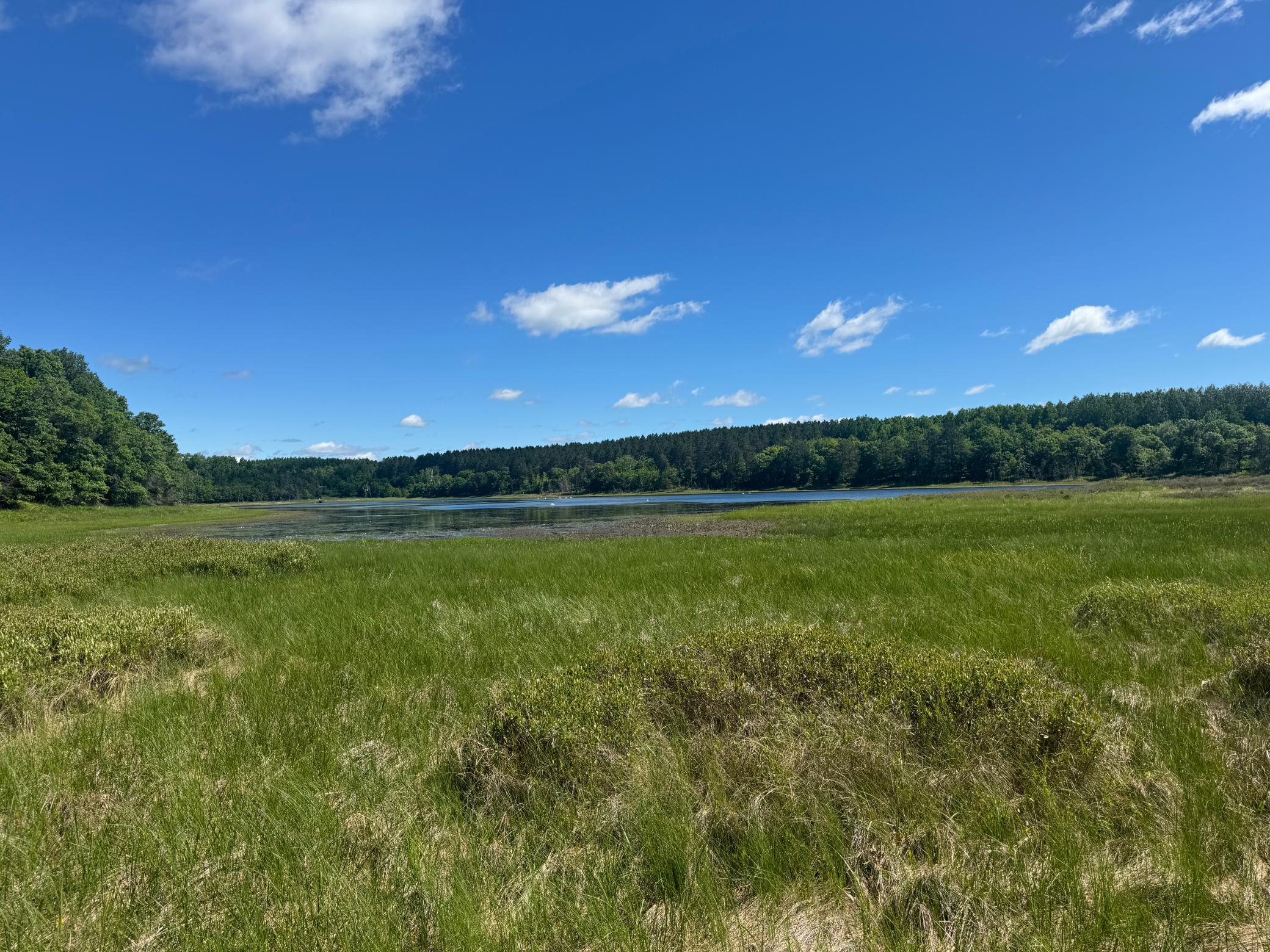 15043 S Thorn Lake Loop Property Photo 21