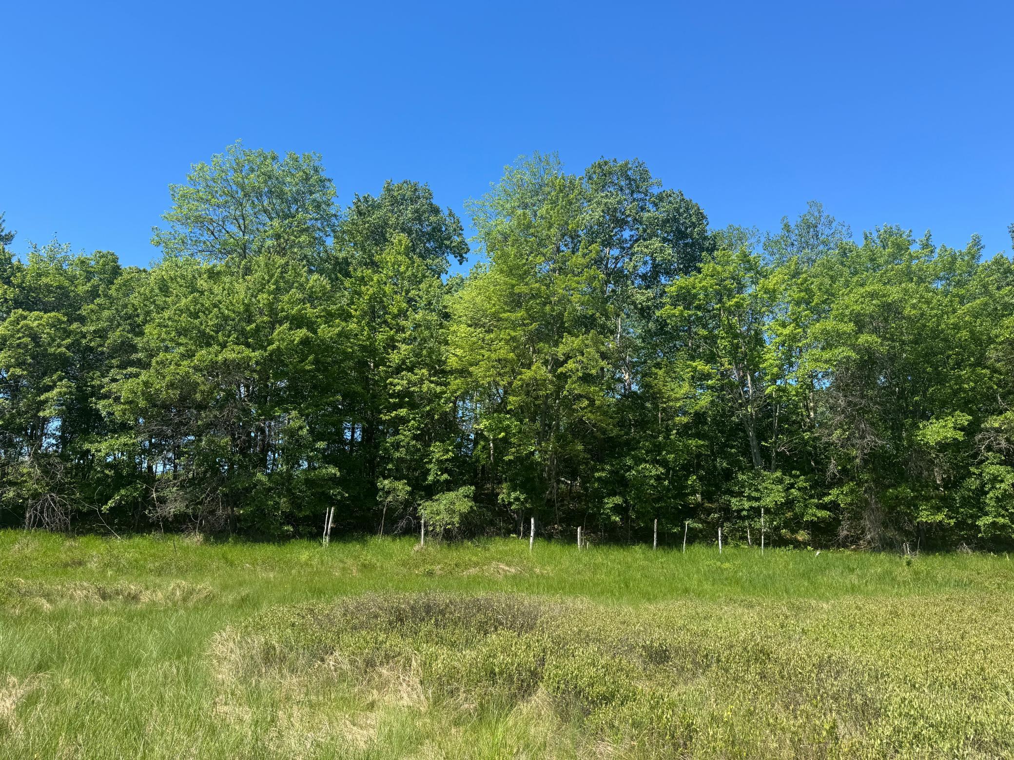 15043 S Thorn Lake Loop Property Photo 24
