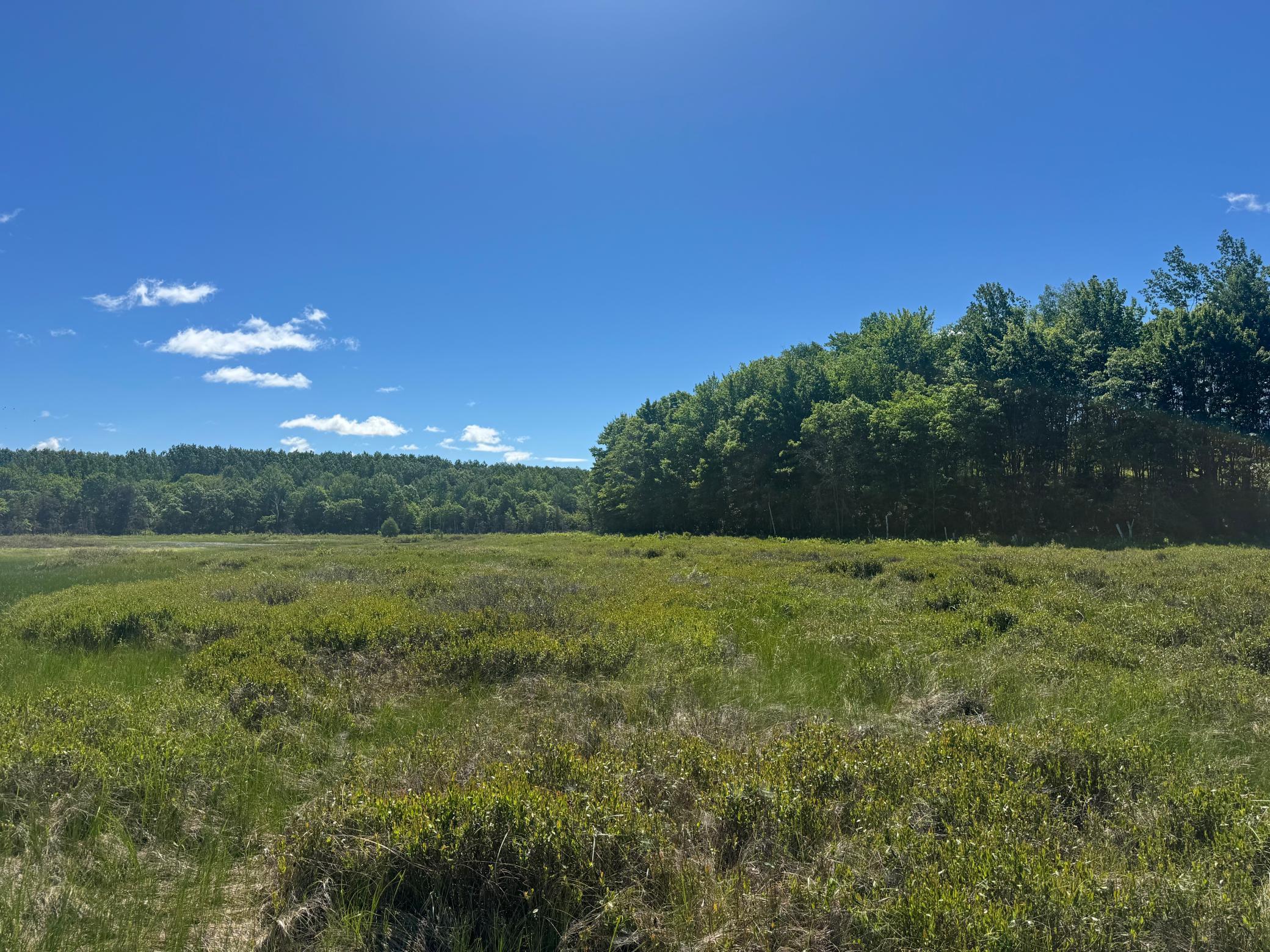 15043 S Thorn Lake Loop Property Photo 25