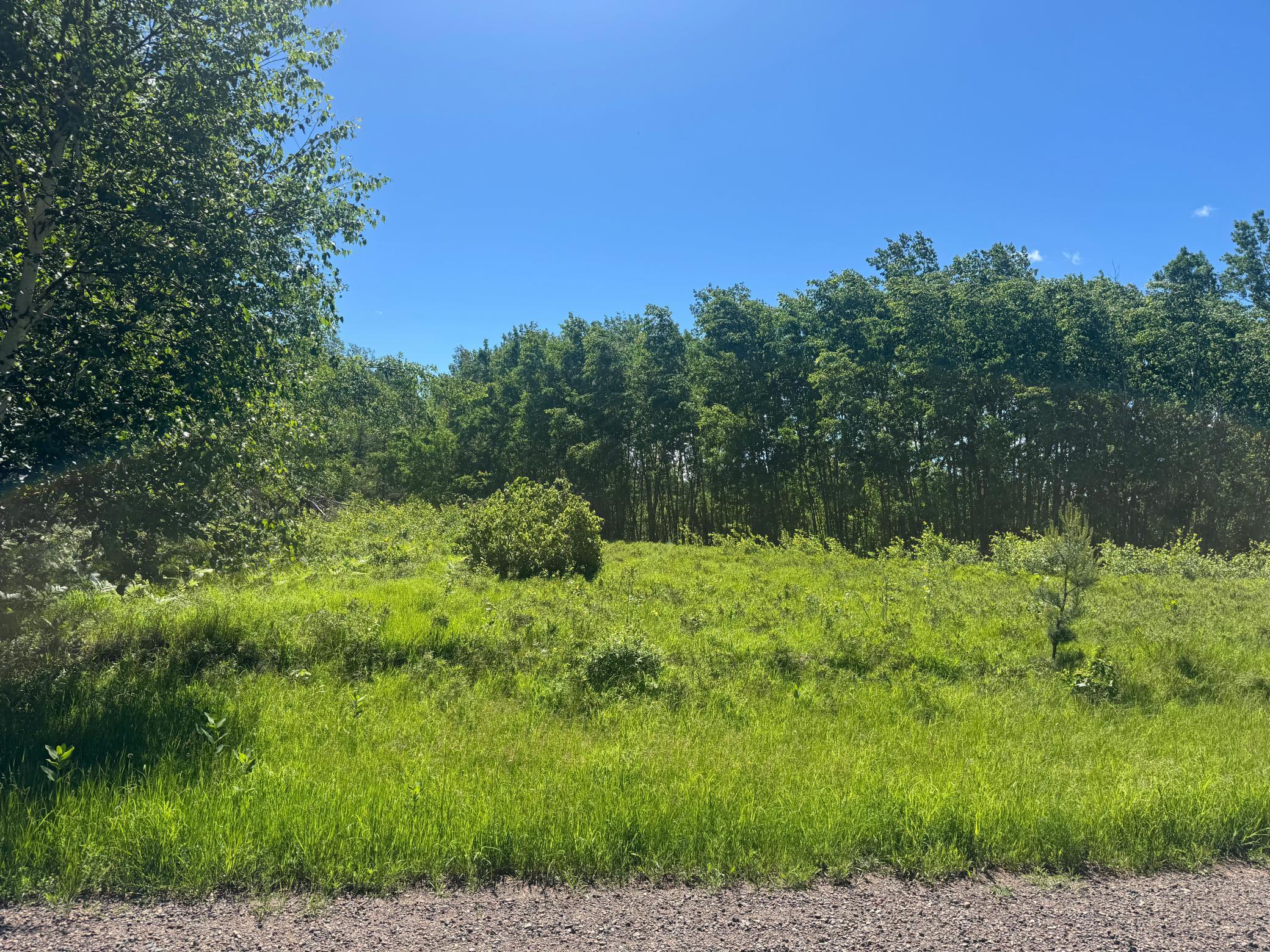 15043 S Thorn Lake Loop Property Photo 27