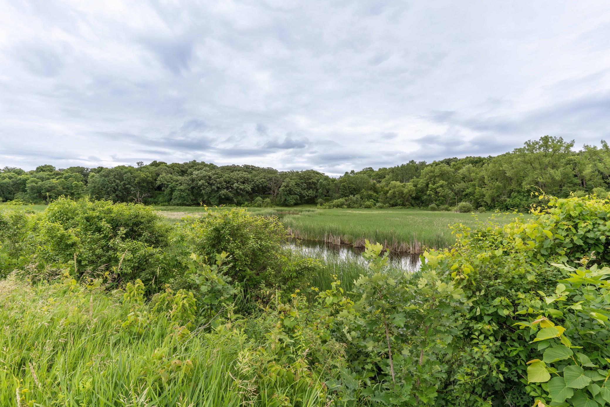 16458 County Highway 35 Property Photo 5