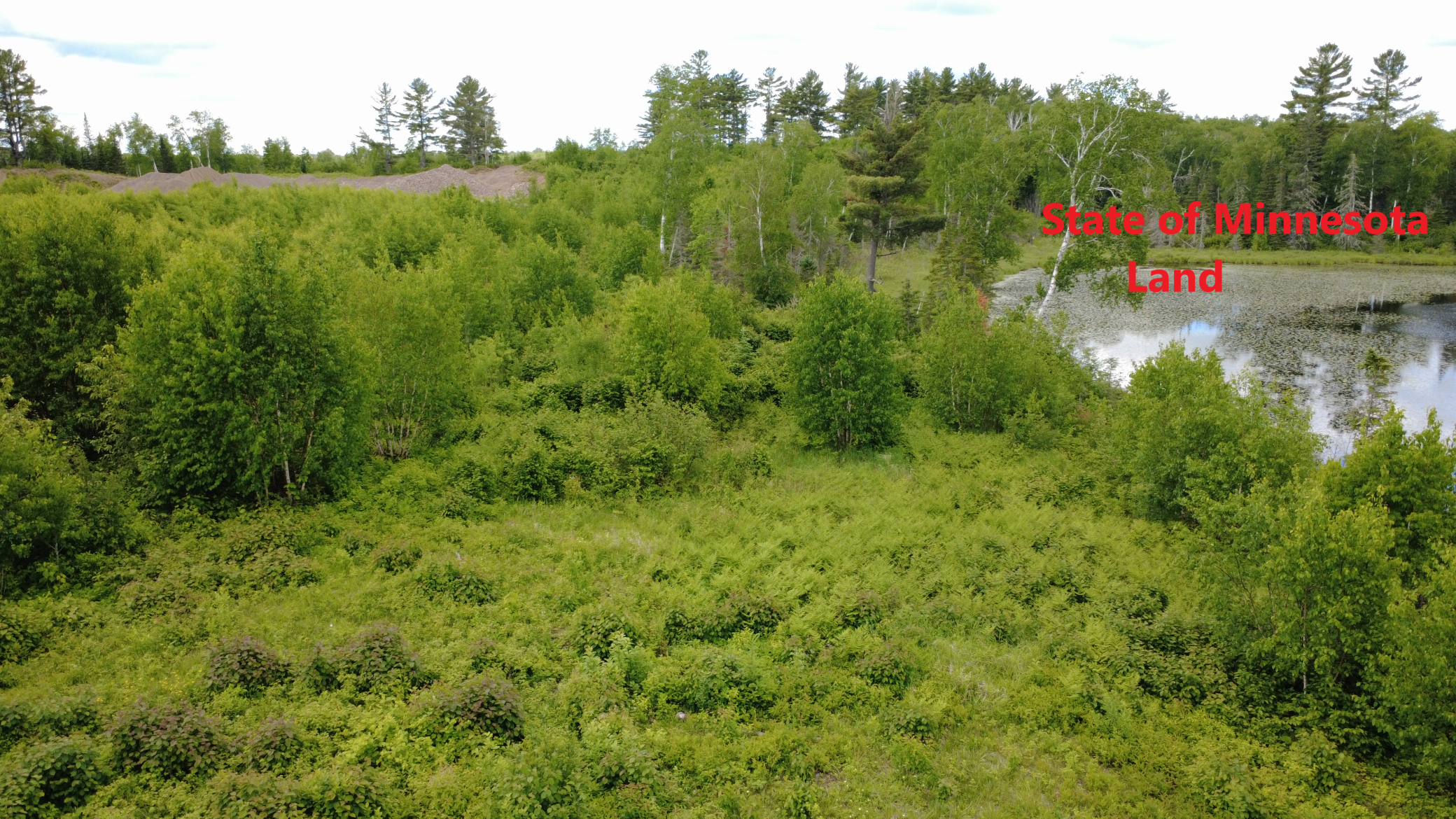 Tbd6.5 Moose Lake Road Property Photo 6