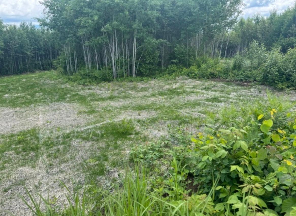 Tbd6.5 Moose Lake Road Property Photo 7