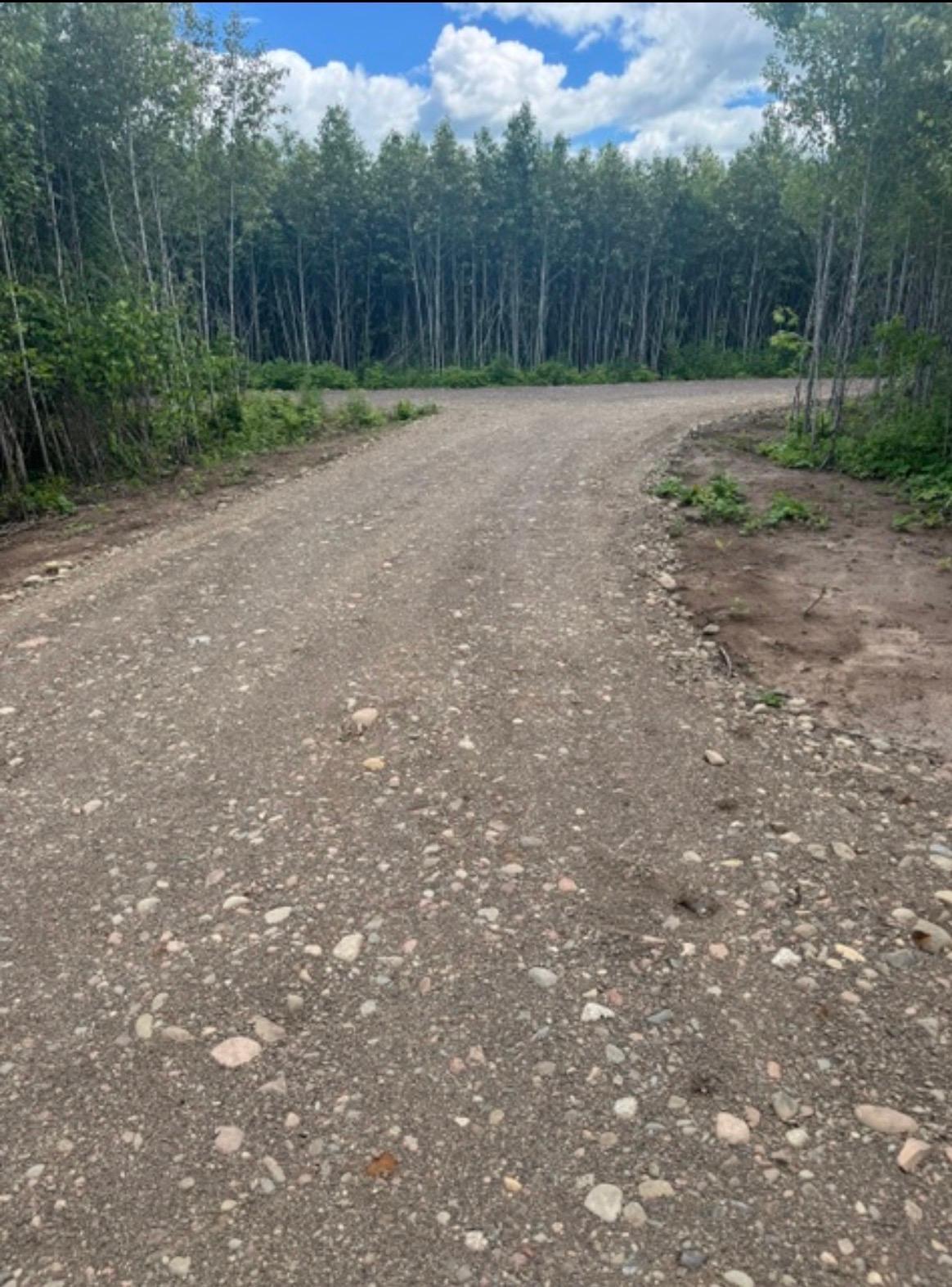 Tbd6.5 Moose Lake Road Property Photo 11