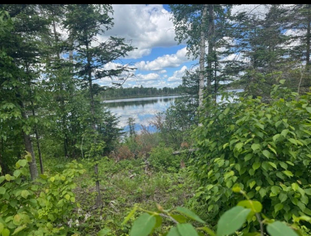 Tbd6.5 Moose Lake Road Property Photo 12