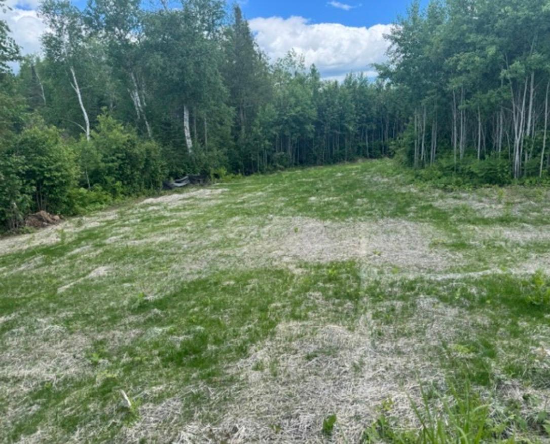 Tbd6.5 Moose Lake Road Property Photo 13