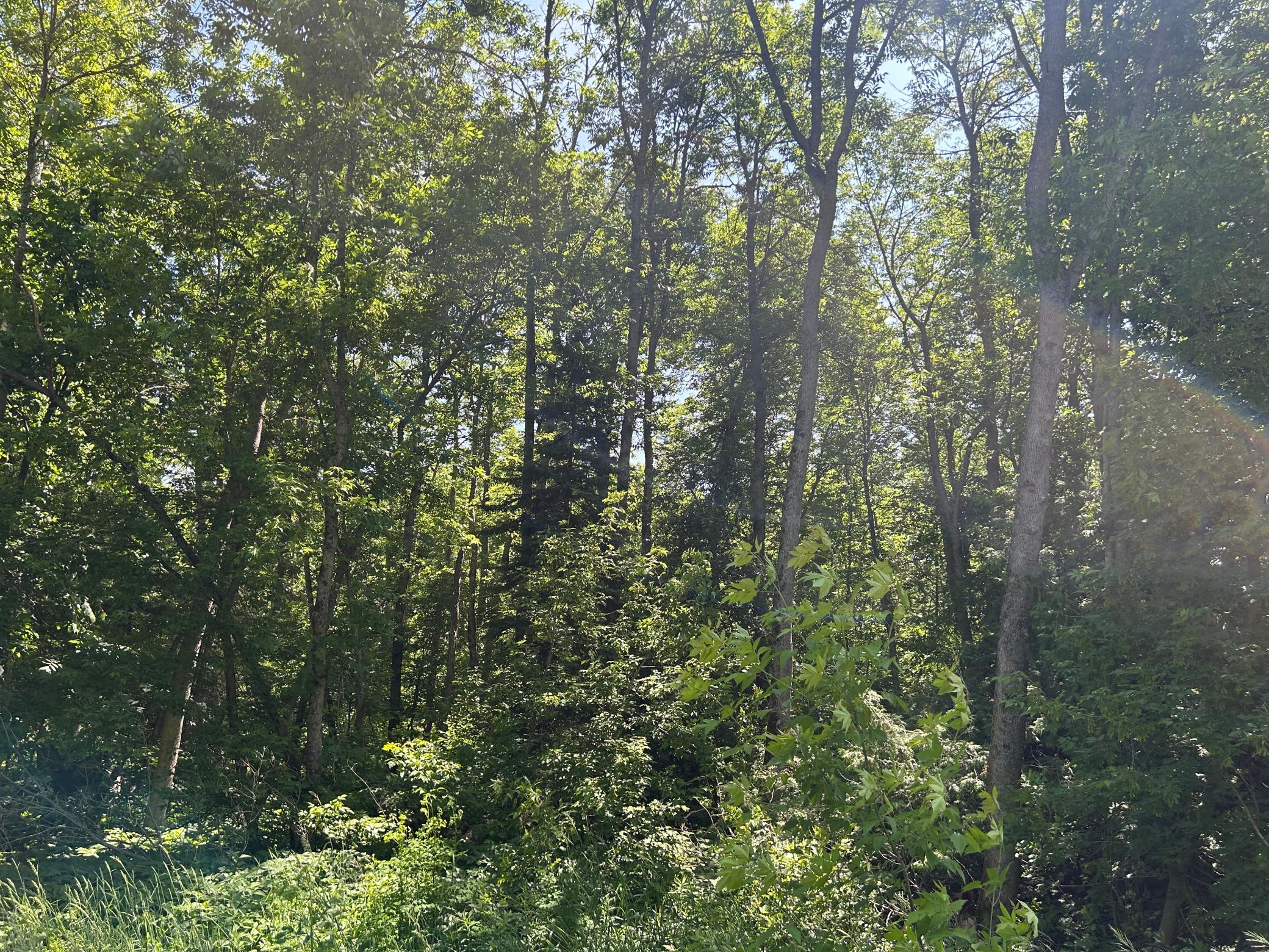 Tbd Town Rd 7 Property Photo 1