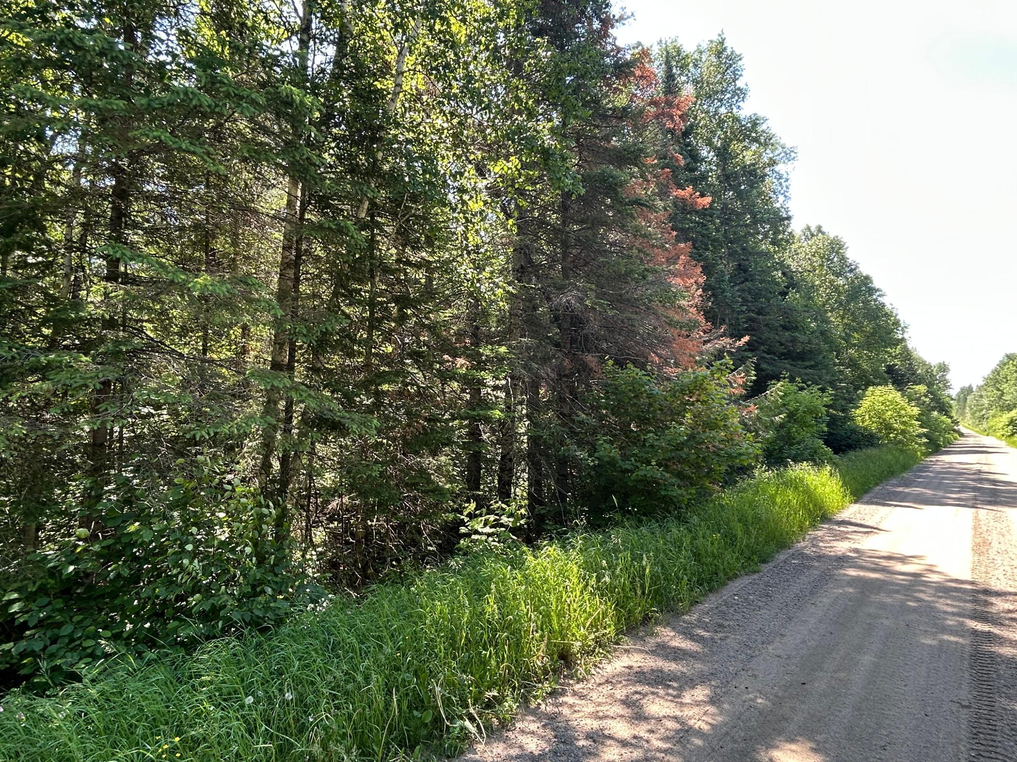 Tbd Town Rd 7 Property Photo 2