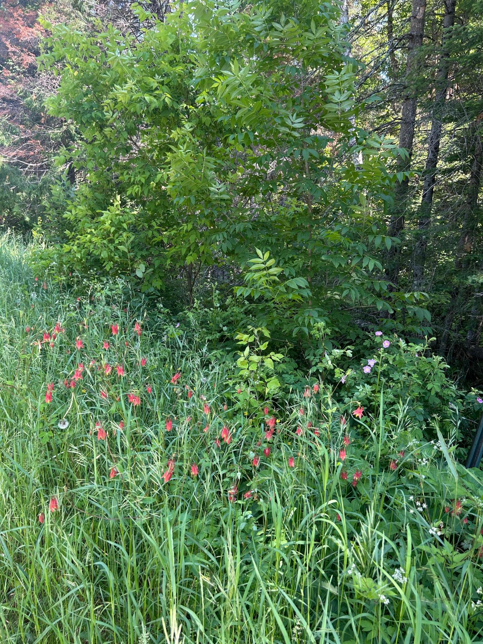 Tbd Town Rd 7 Property Photo 3
