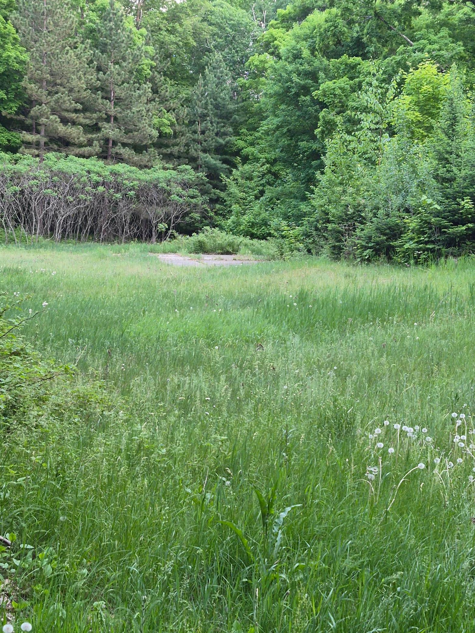 Tbd Lots 313, 350, 351 195th Place Property Photo 1