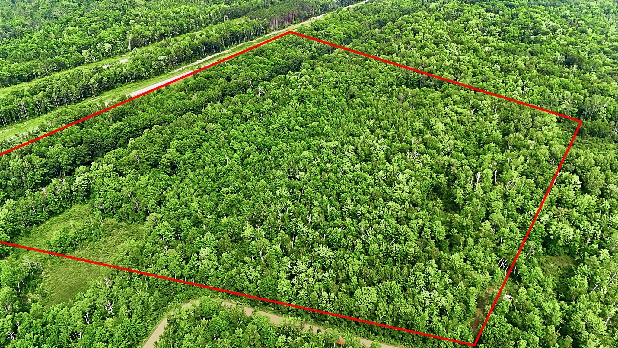 Tbd Taylor Birch Rd Property Photo 3