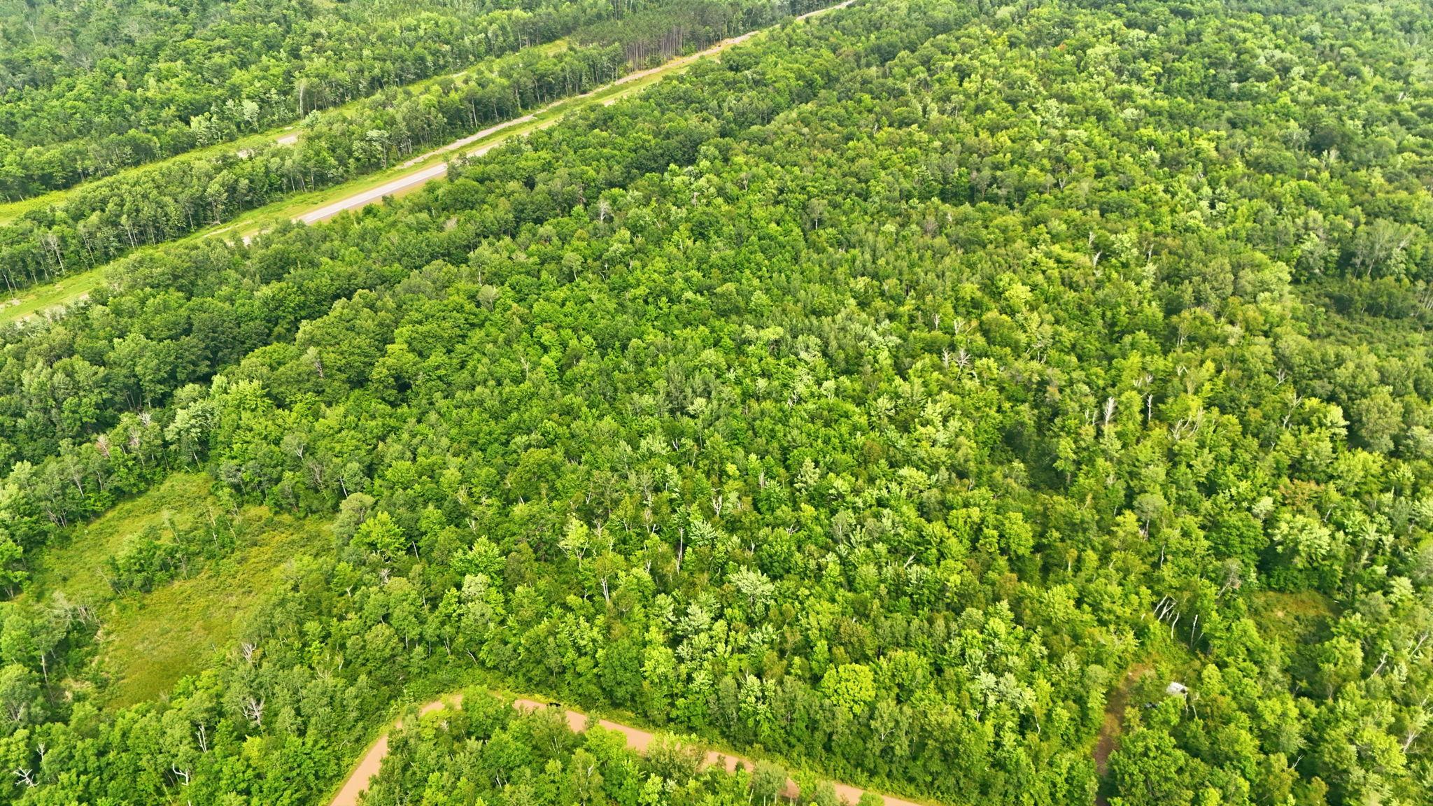 Tbd Taylor Birch Rd Property Photo 4