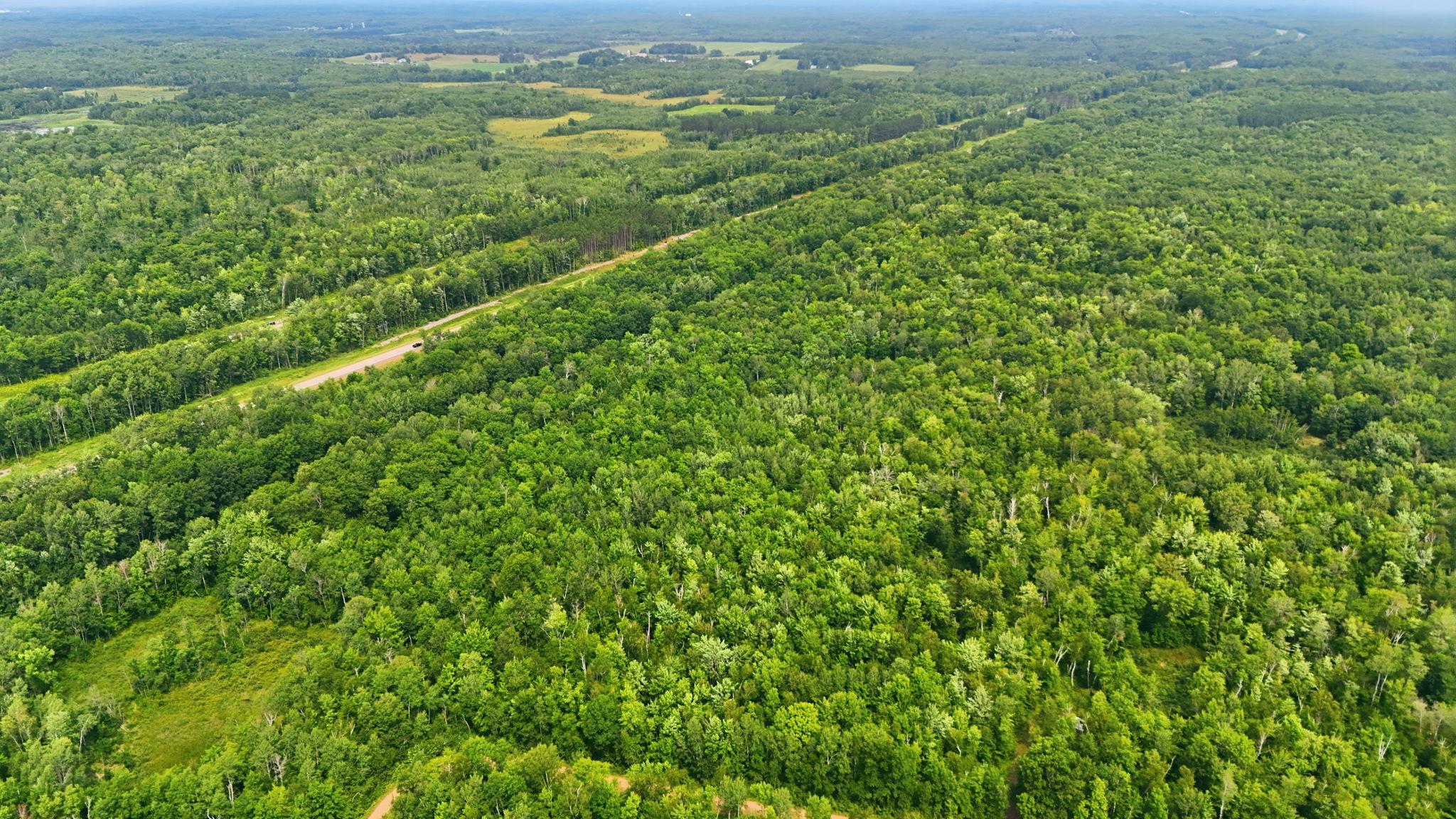 Tbd Taylor Birch Rd Property Photo 5