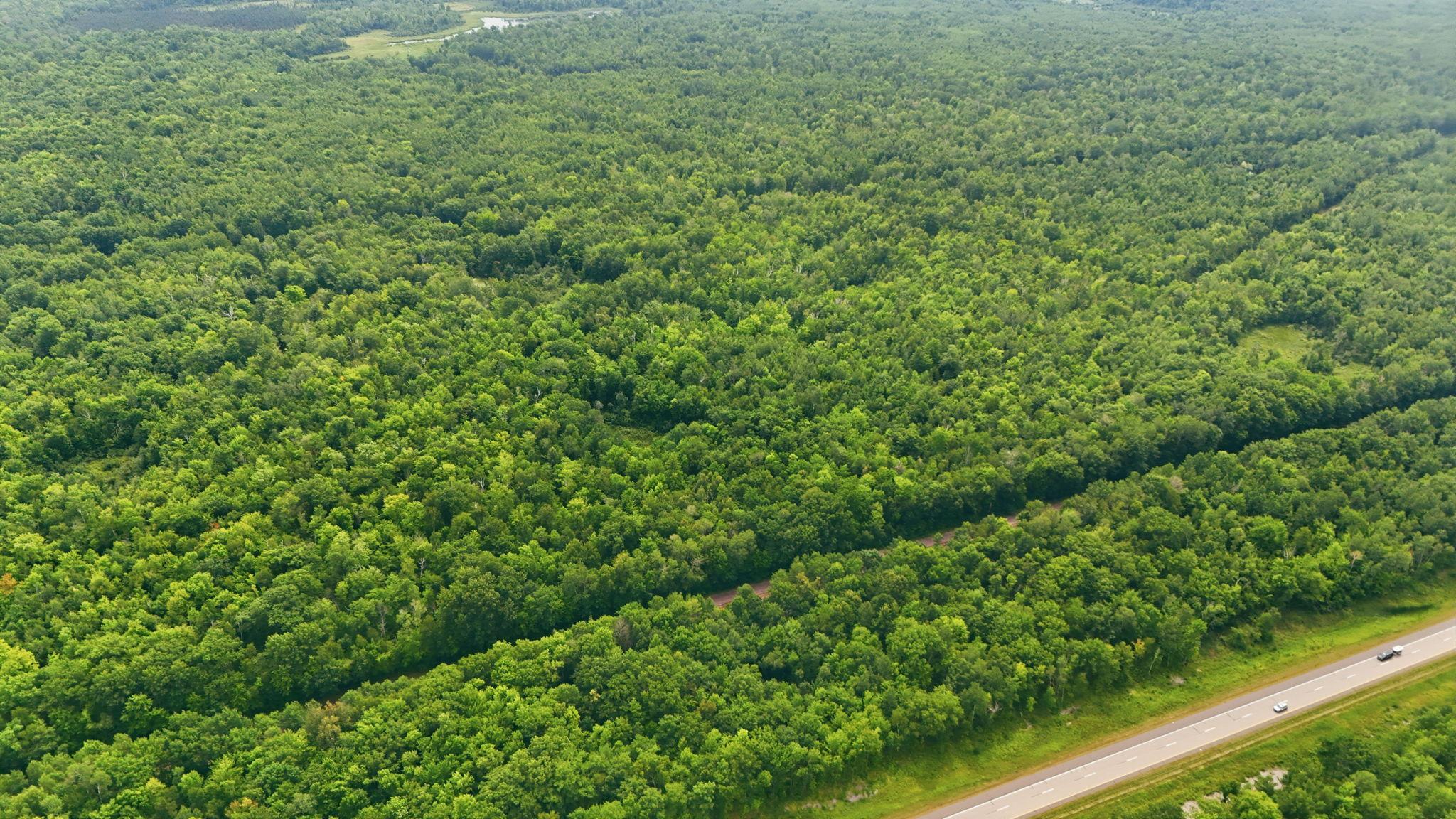 Tbd Taylor Birch Rd Property Photo 6