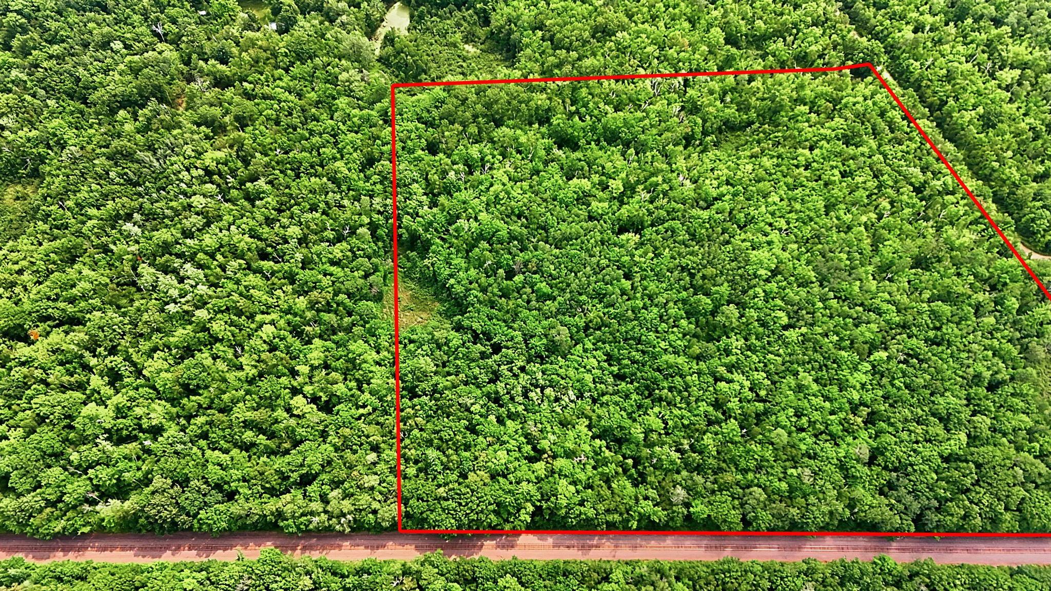 Tbd Taylor Birch Rd Property Photo 8