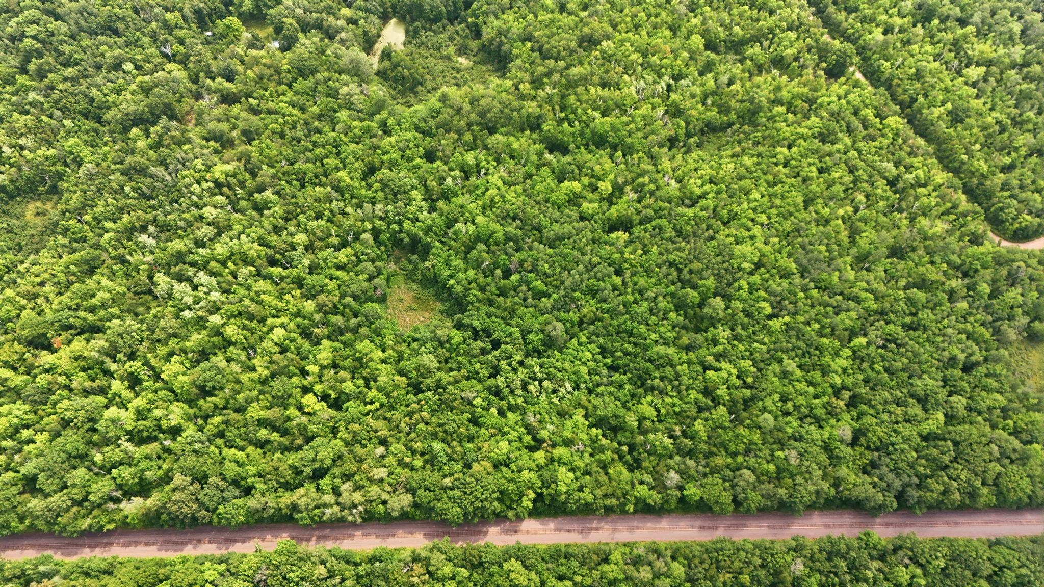 Tbd Taylor Birch Rd Property Photo 9