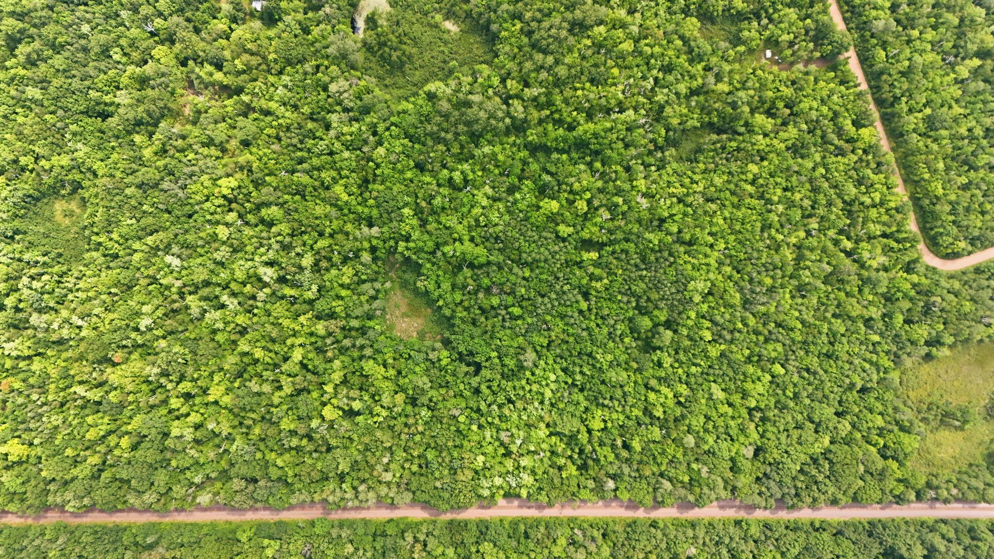 Tbd Taylor Birch Rd Property Photo 10