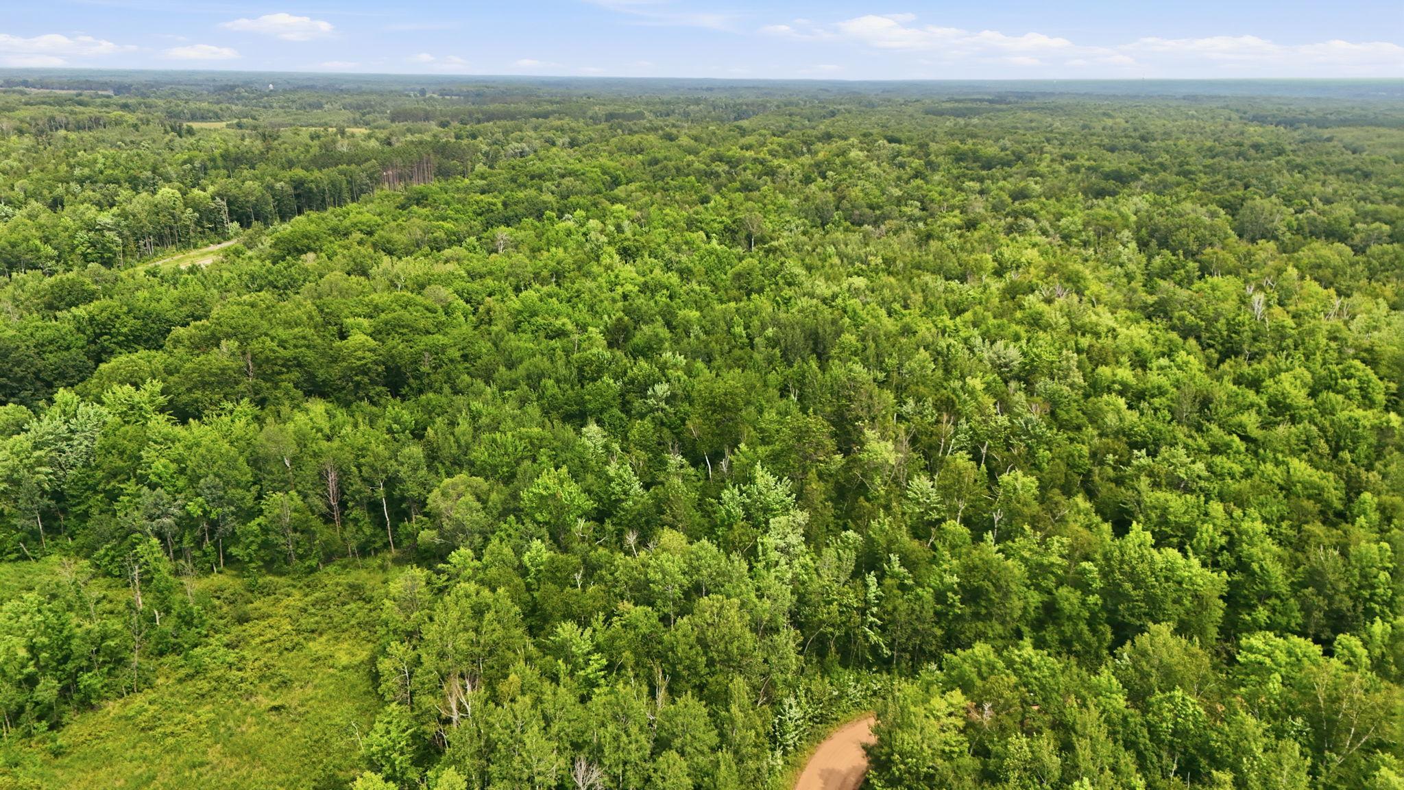 Tbd Taylor Birch Rd Property Photo 14