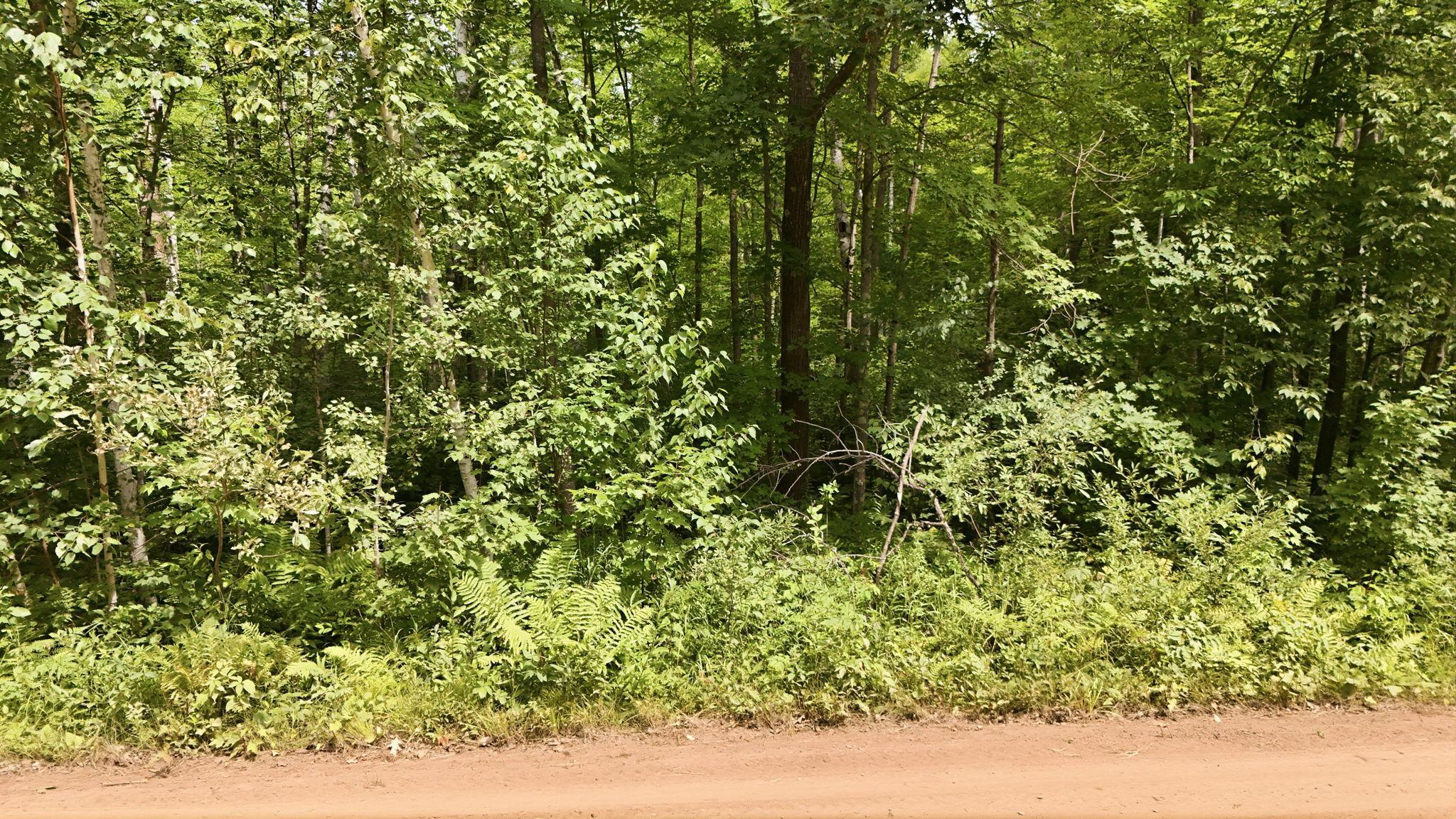 Tbd Taylor Birch Rd Property Photo 15