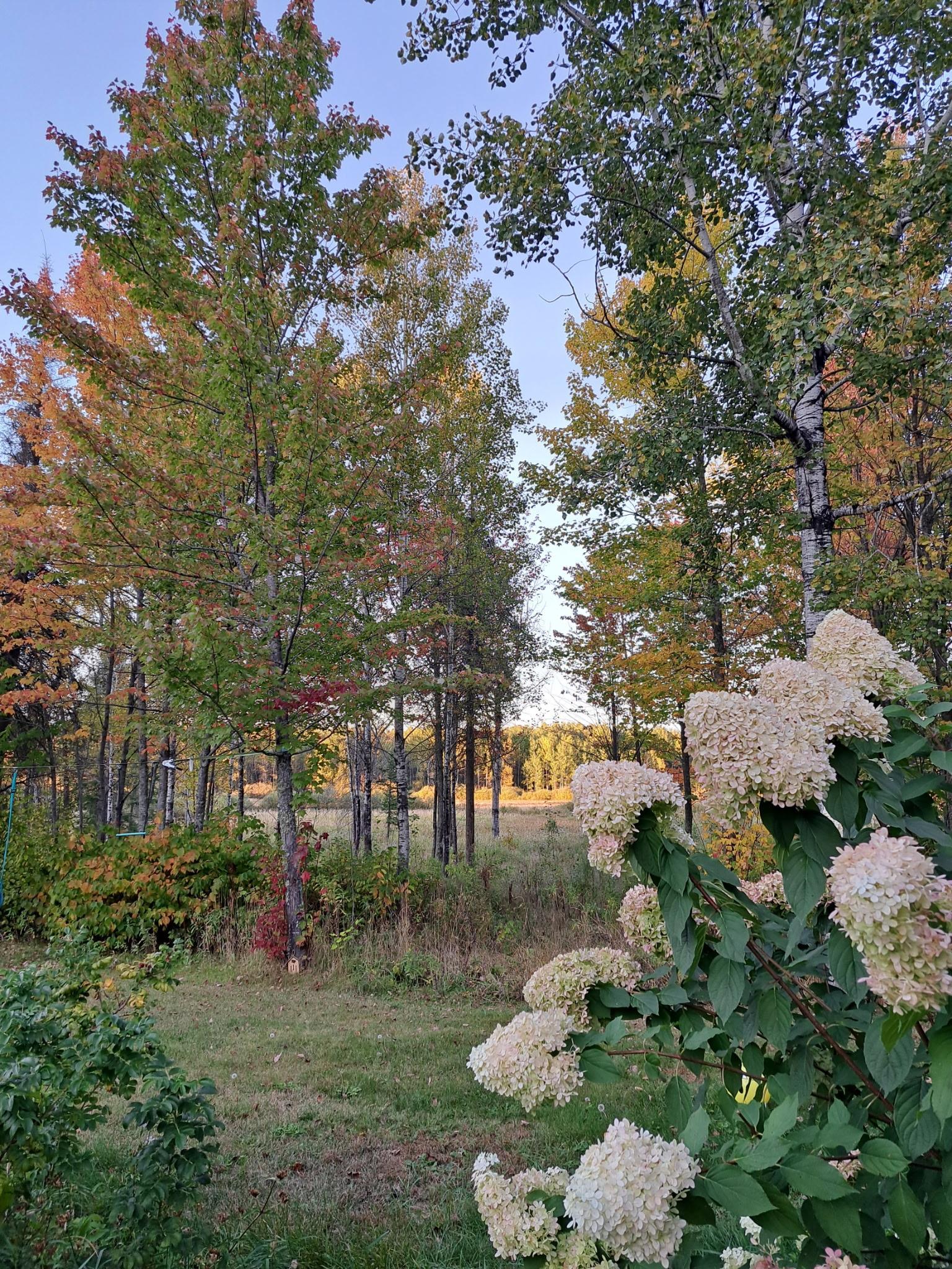 9374 Alango Road Property Photo 48