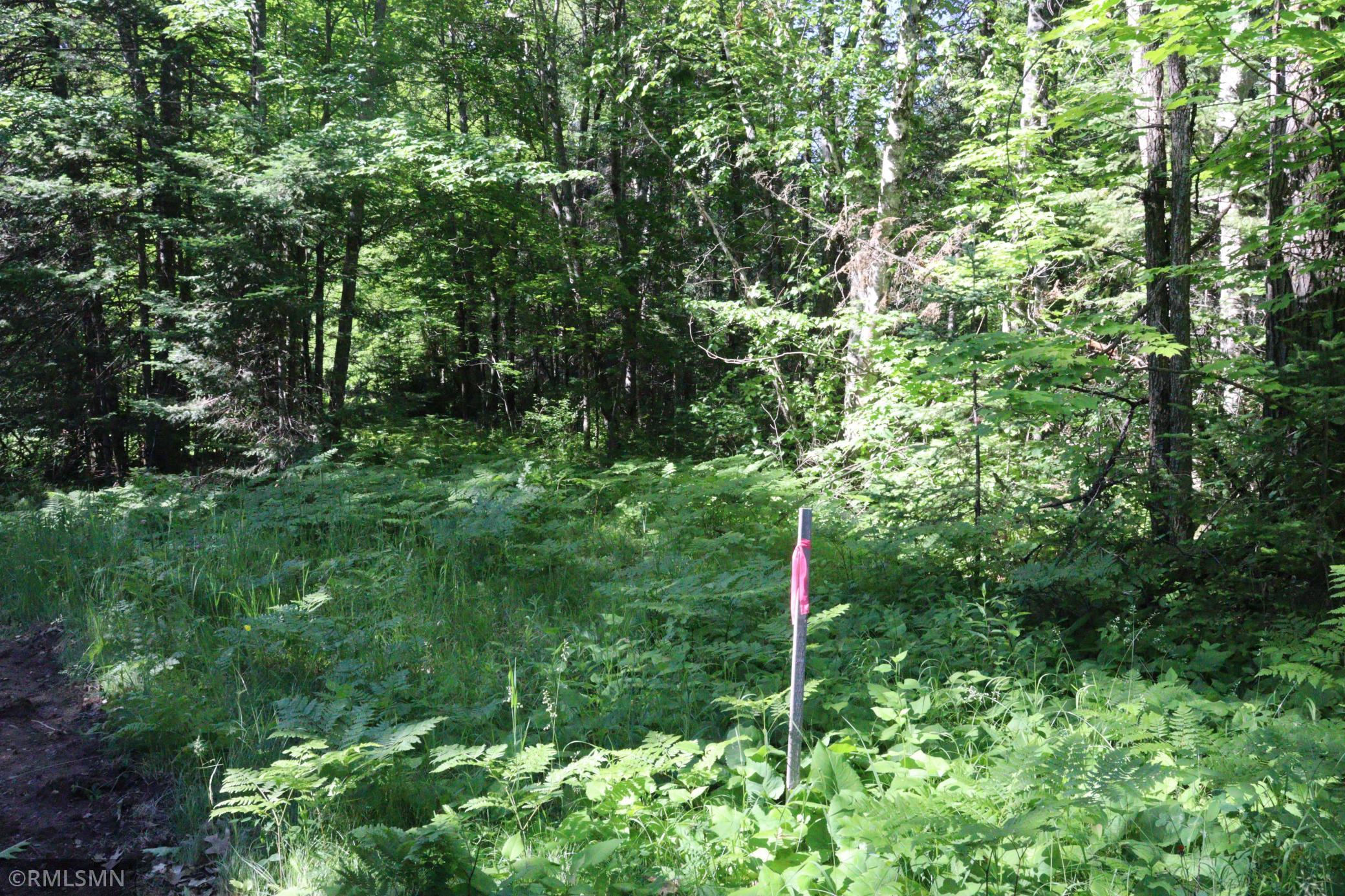 Tbd Sawmill Road Property Photo 2