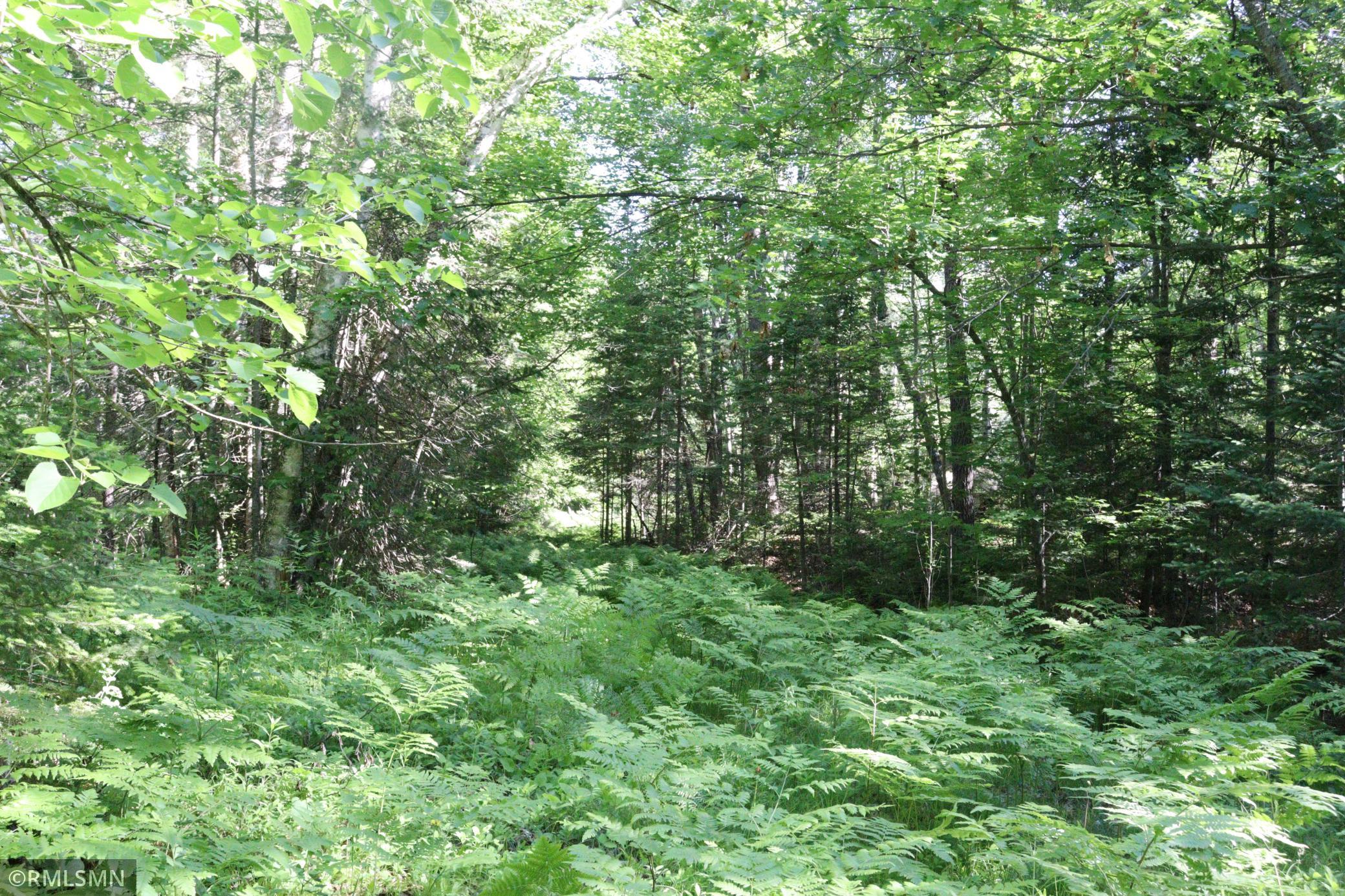 Tbd Sawmill Road Property Photo 3