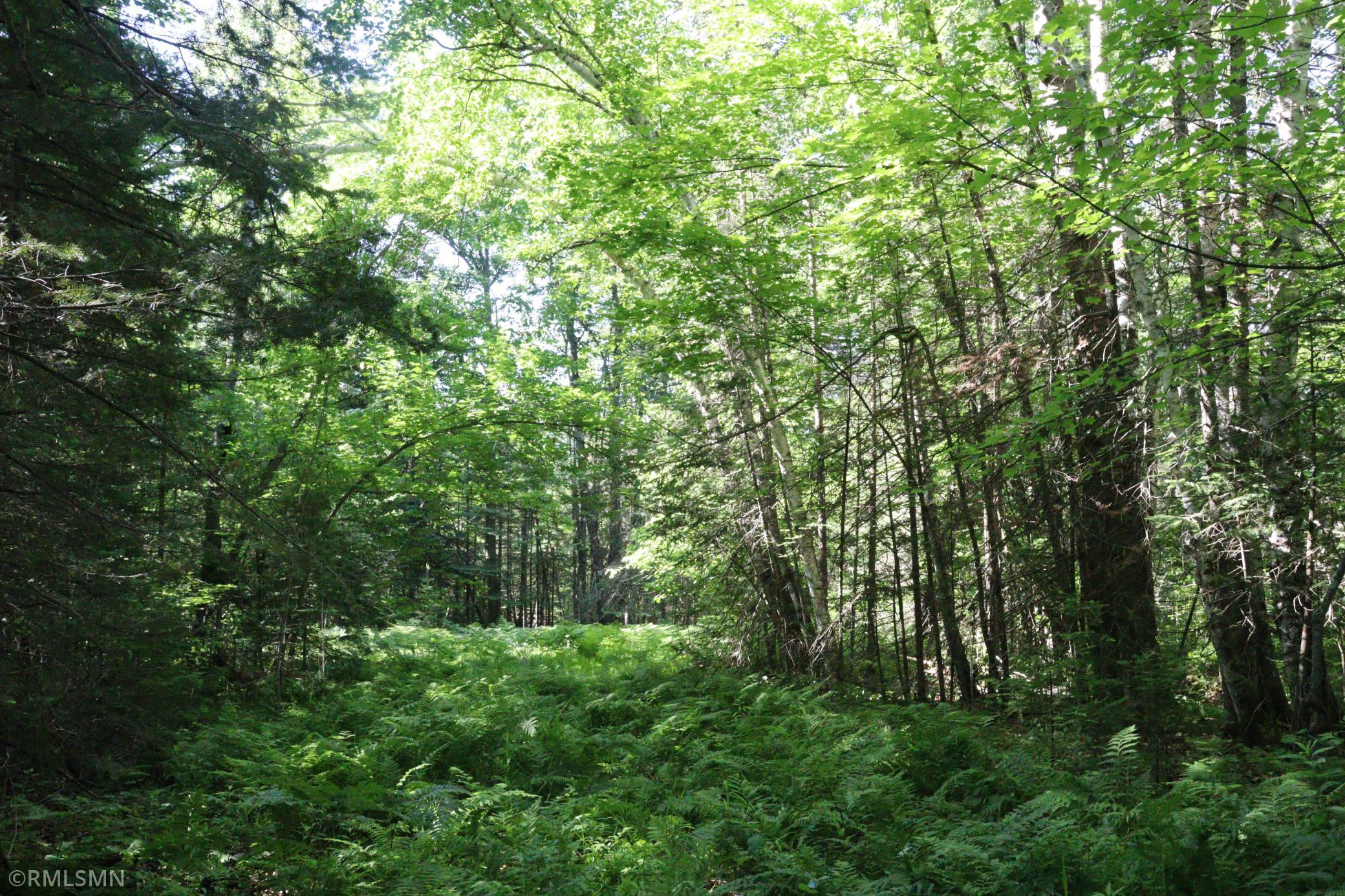 Tbd Sawmill Road Property Photo 4
