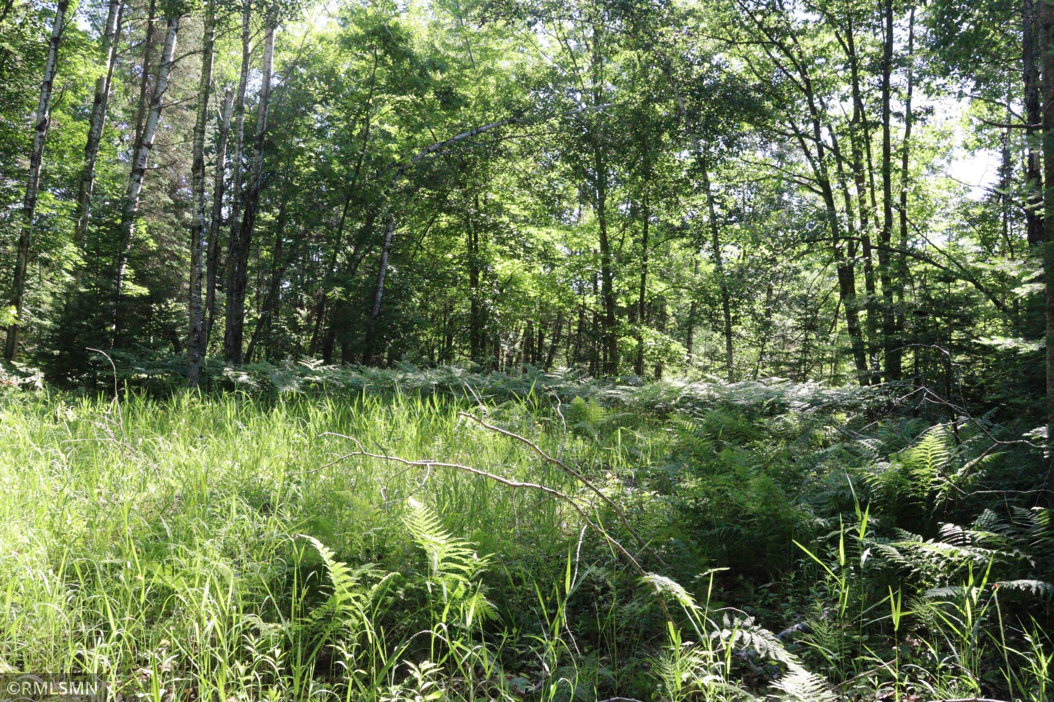 Tbd Sawmill Road Property Photo 5