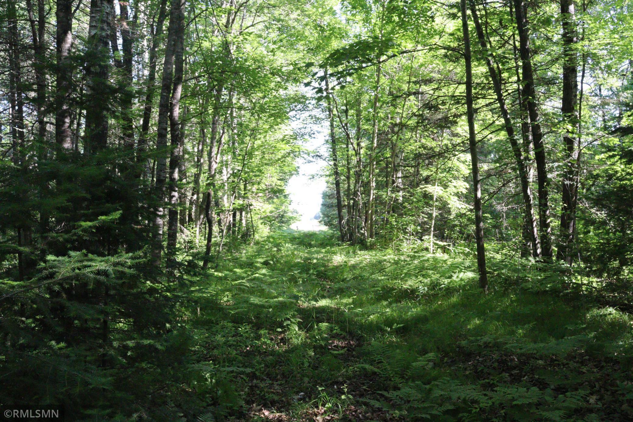 Tbd Sawmill Road Property Photo 6