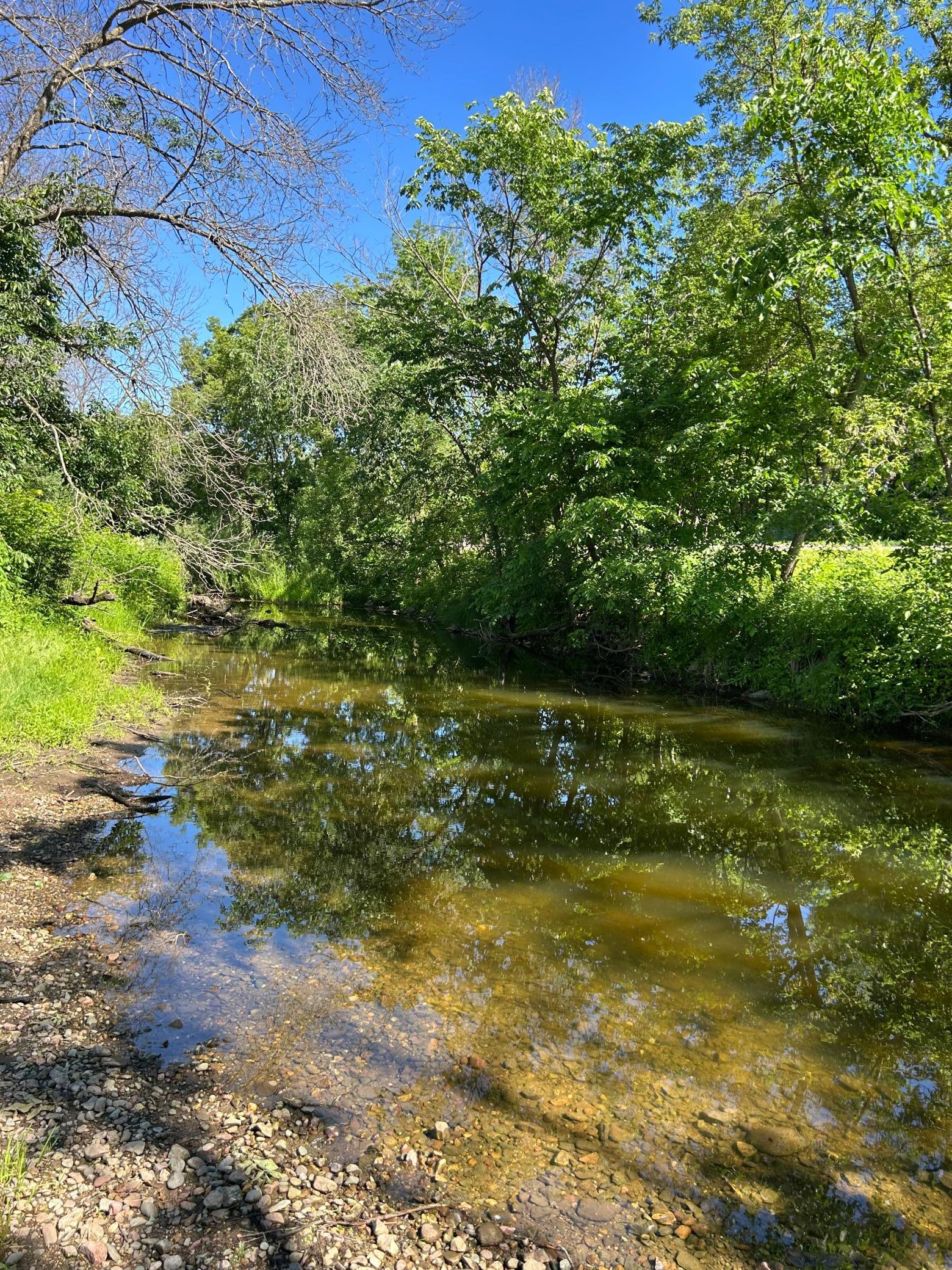 Tbd Old Cty Rd B Property Photo 4