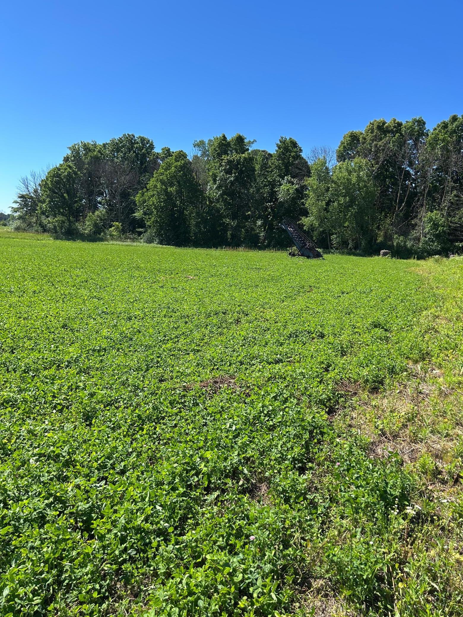 Tbd Old Cty Rd B Property Photo 12